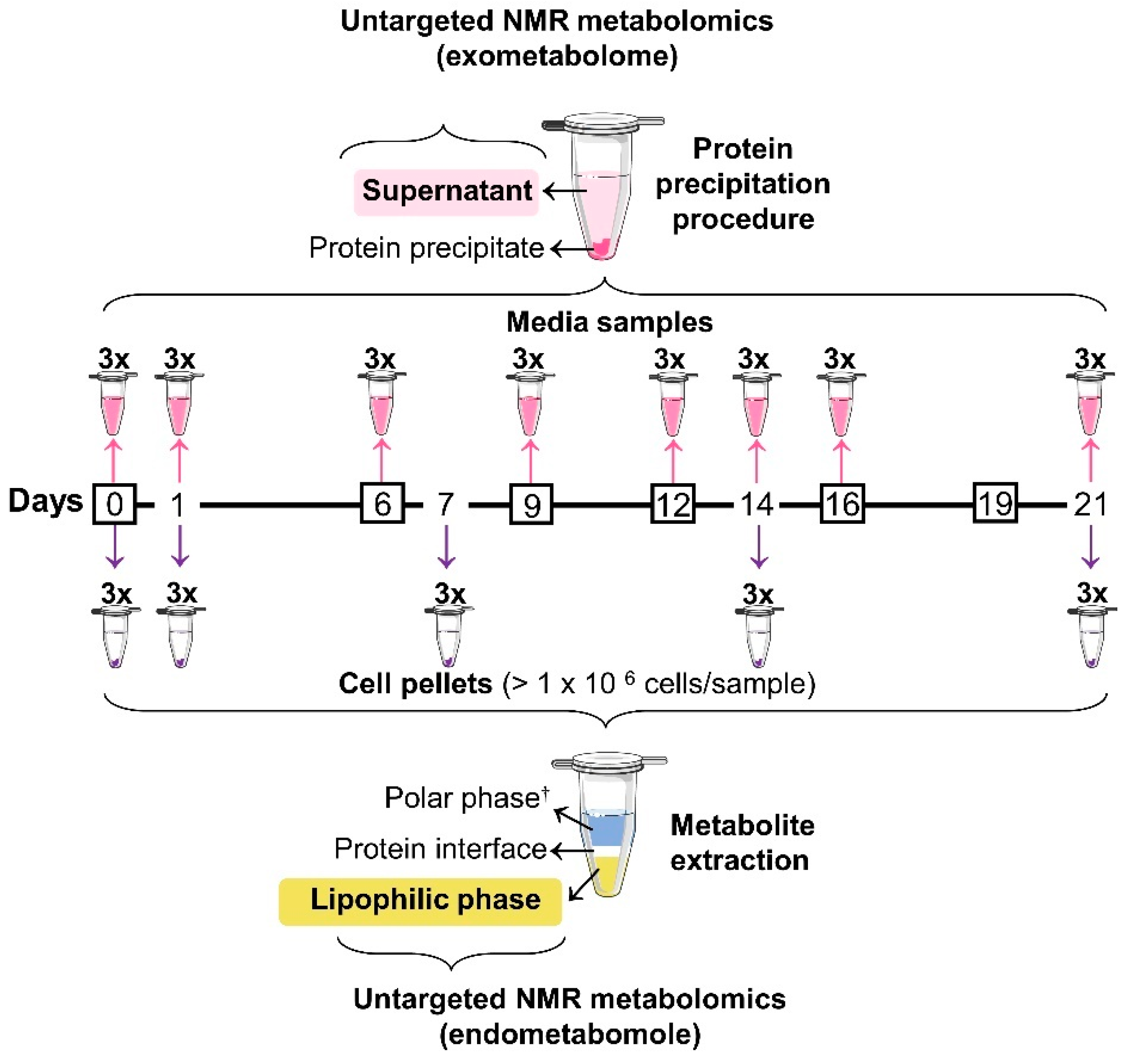 Cells 11 01257 g001 550