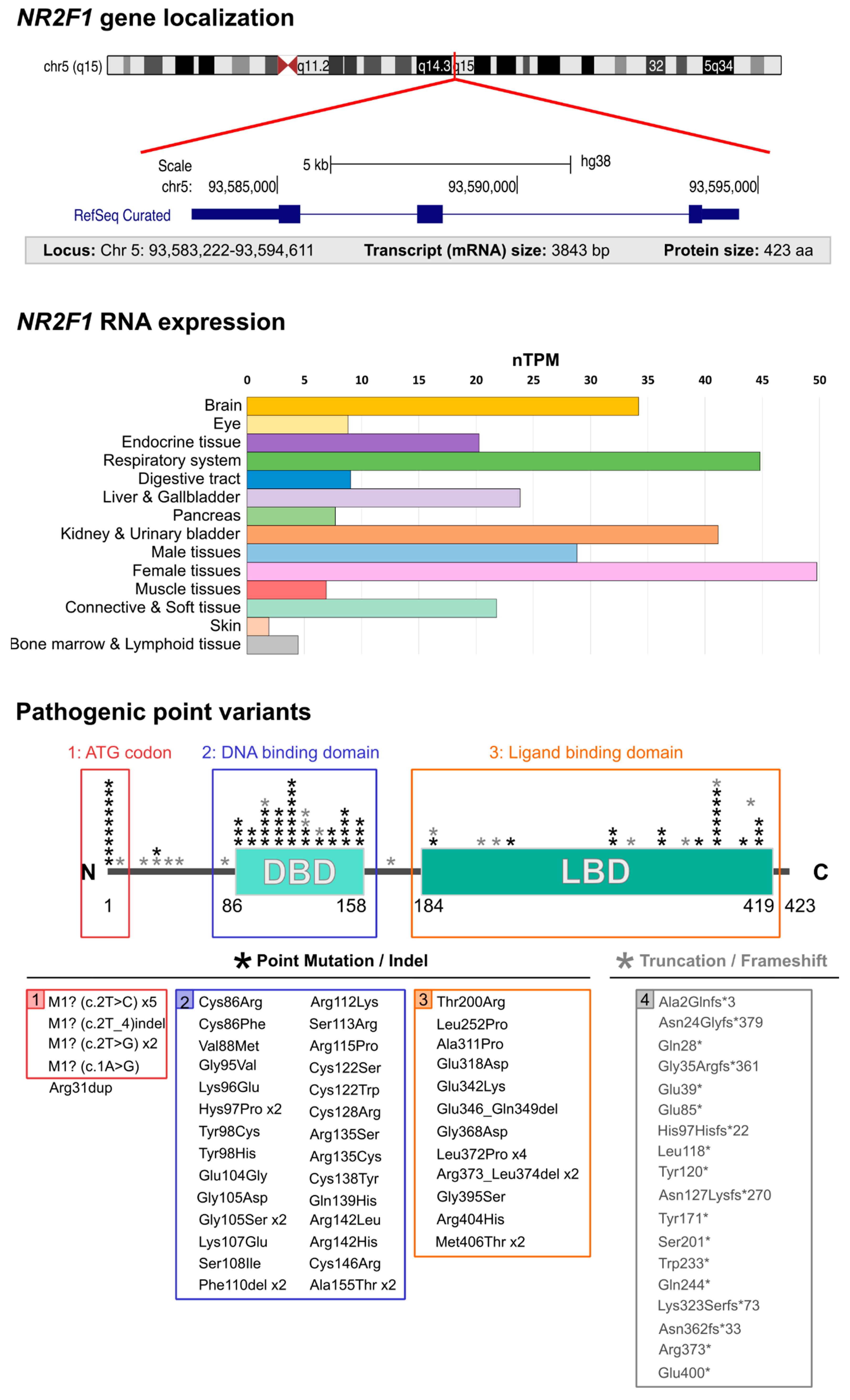 Frontiers  Neuropsychological Assessments of Patients With Acquired Brain  Injury: A Cluster Analysis Approach to Address Heterogeneity in Web-Based  Cognitive Rehabilitation