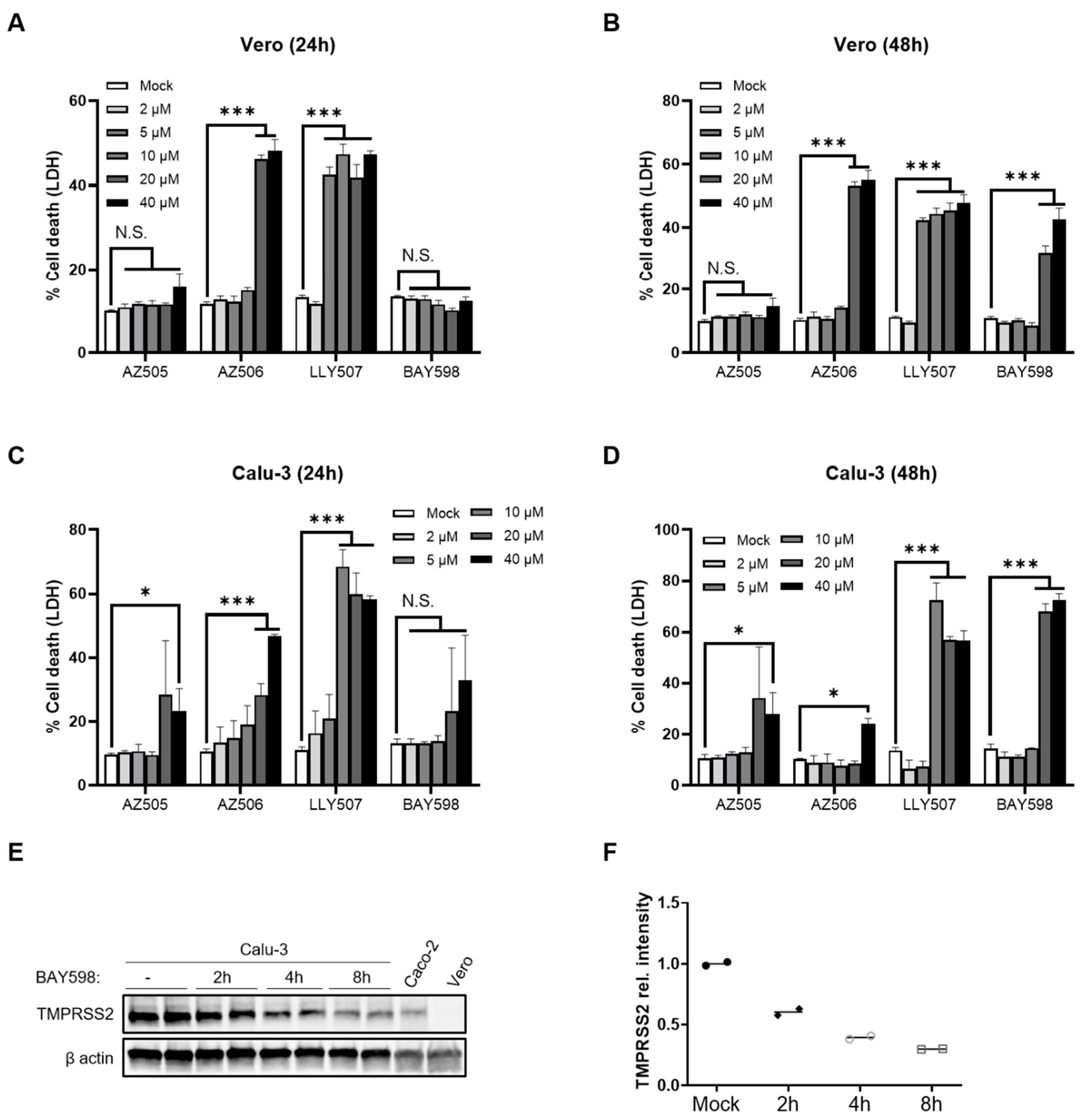 Cells 11 01262 g005 550