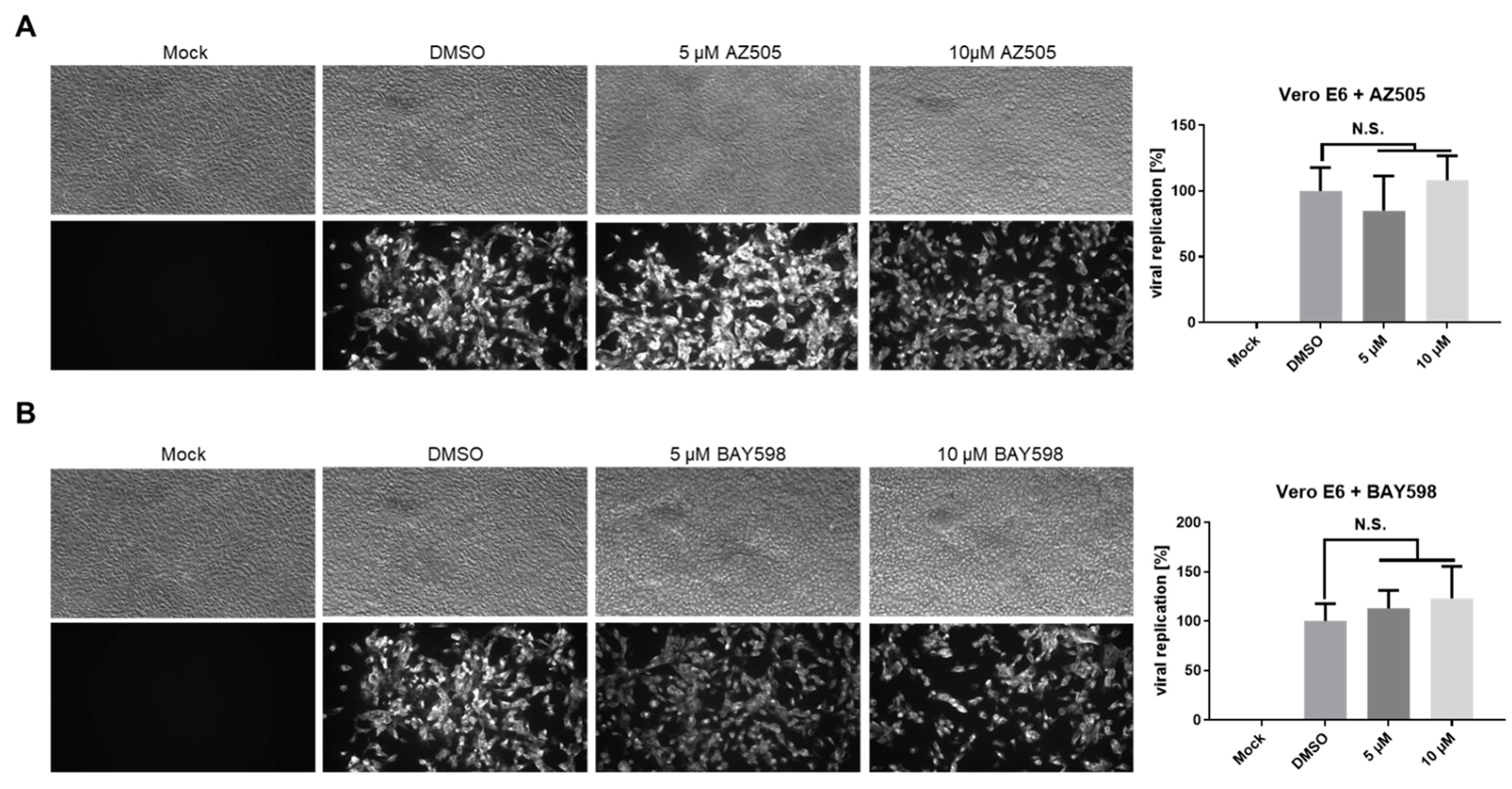 Cells 11 01262 g006 550