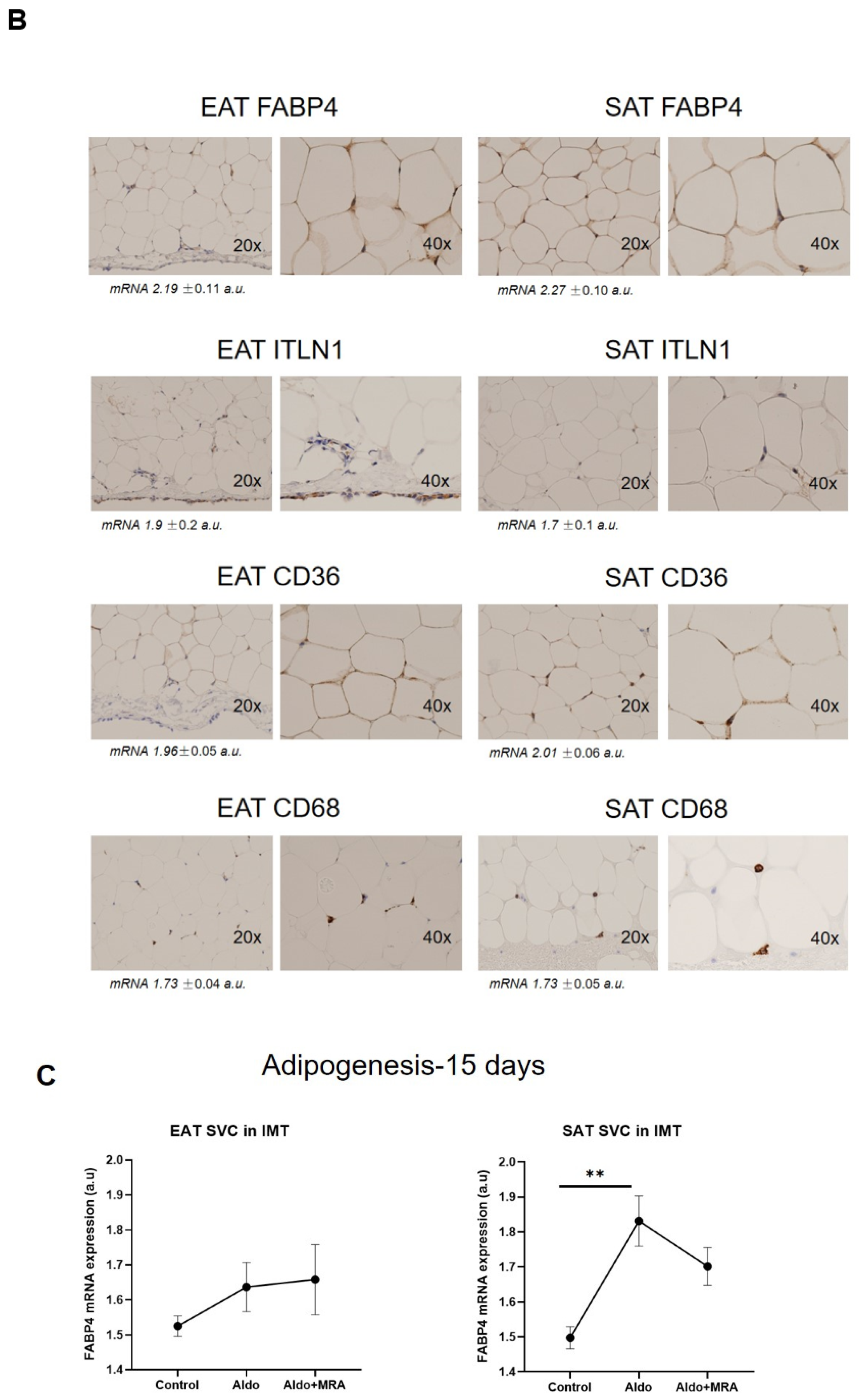 Cells 11 01264 g002b