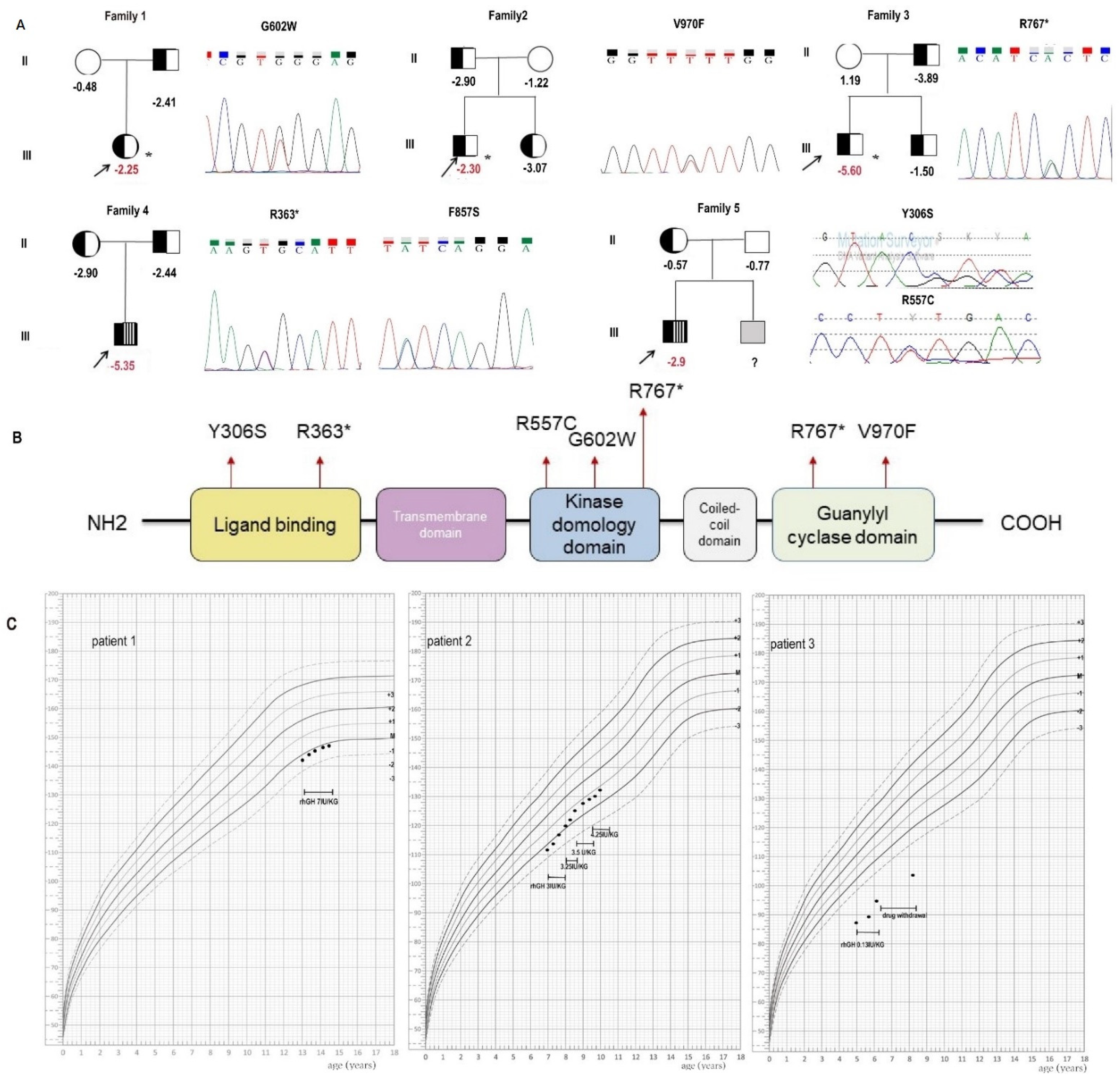 Cells 11 01265 g001 Cells 11 01265 g001