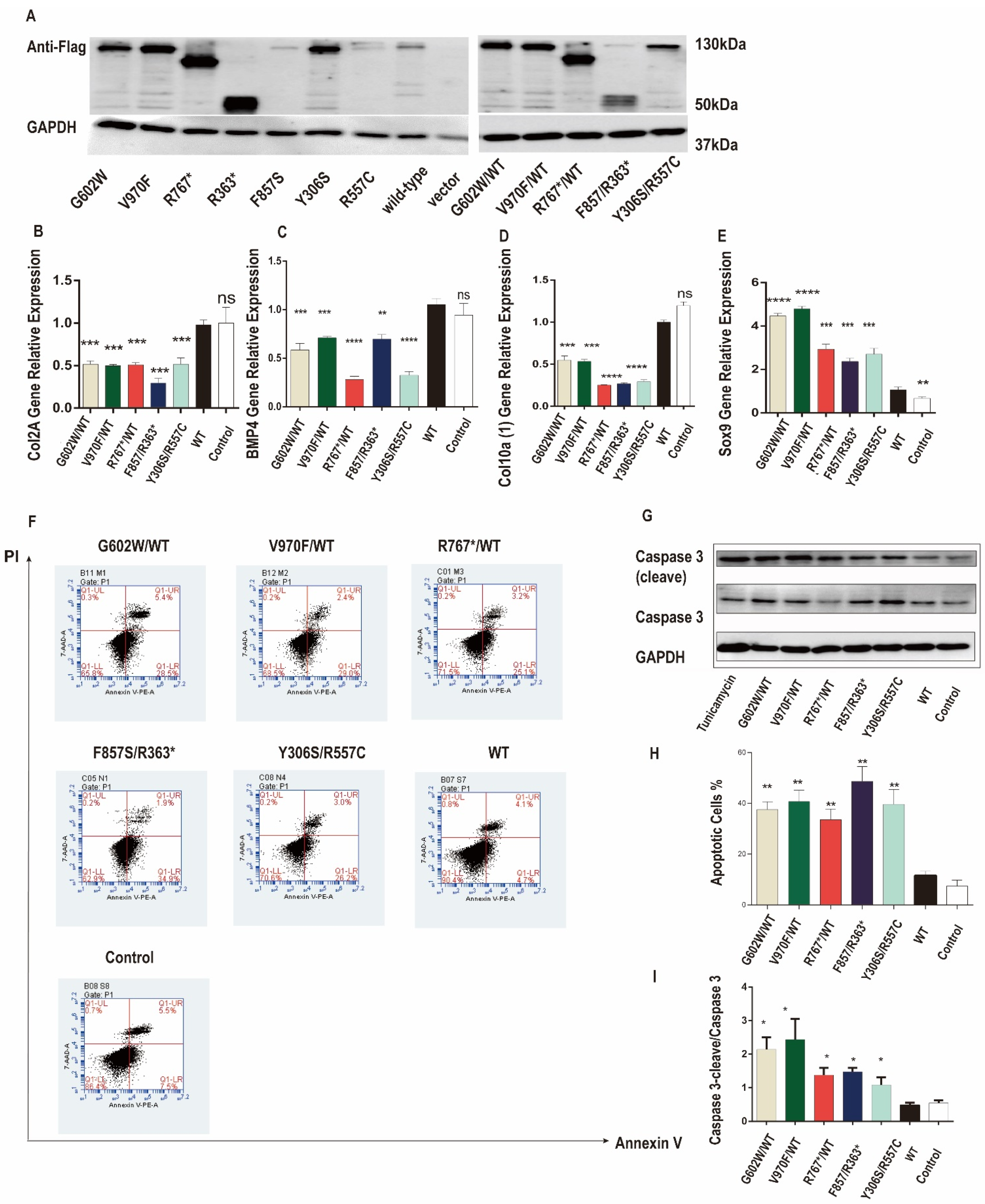 Cells 11 01265 g002 Cells 11 01265 g002