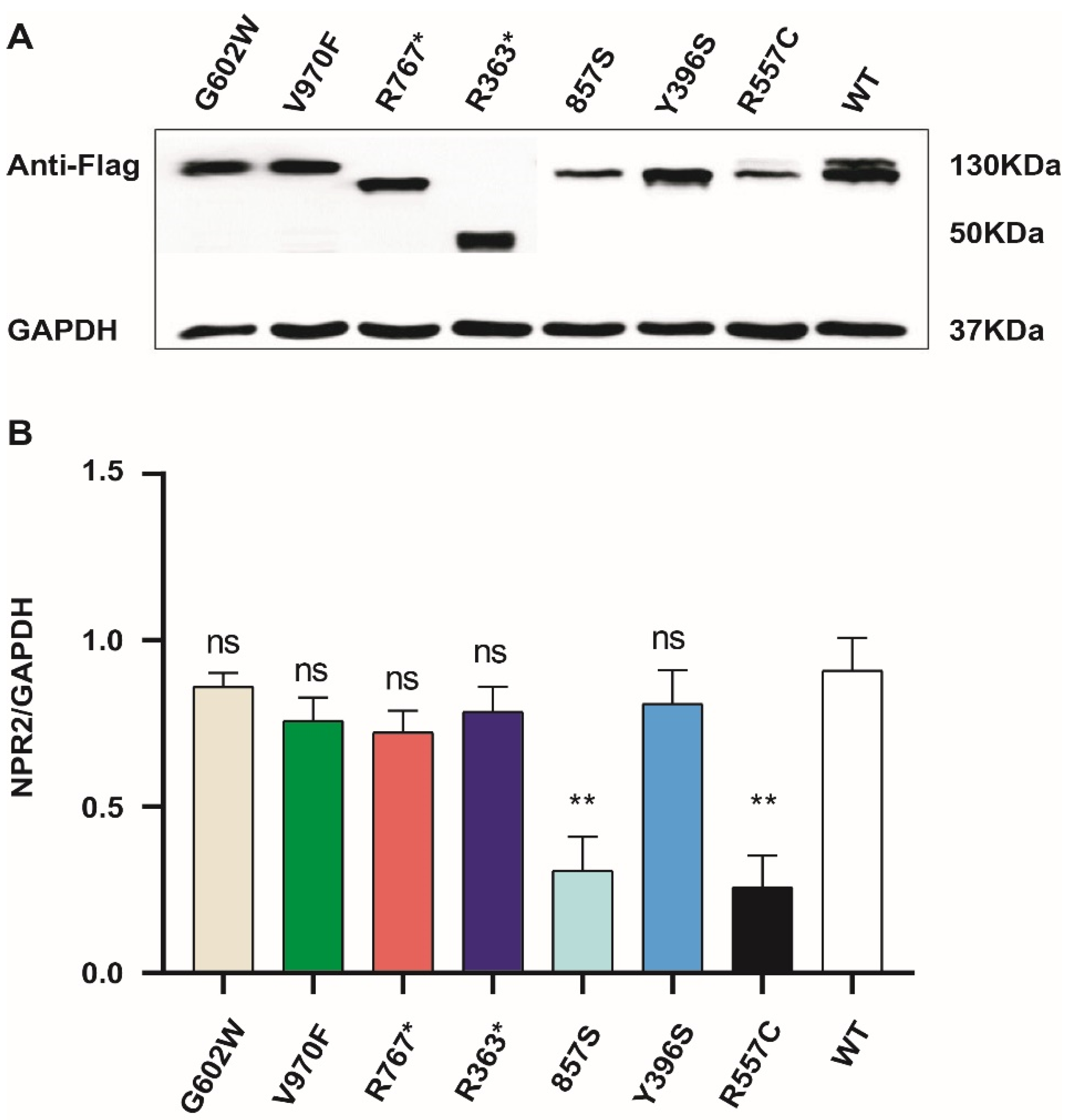 Cells 11 01265 g004 Cells 11 01265 g004