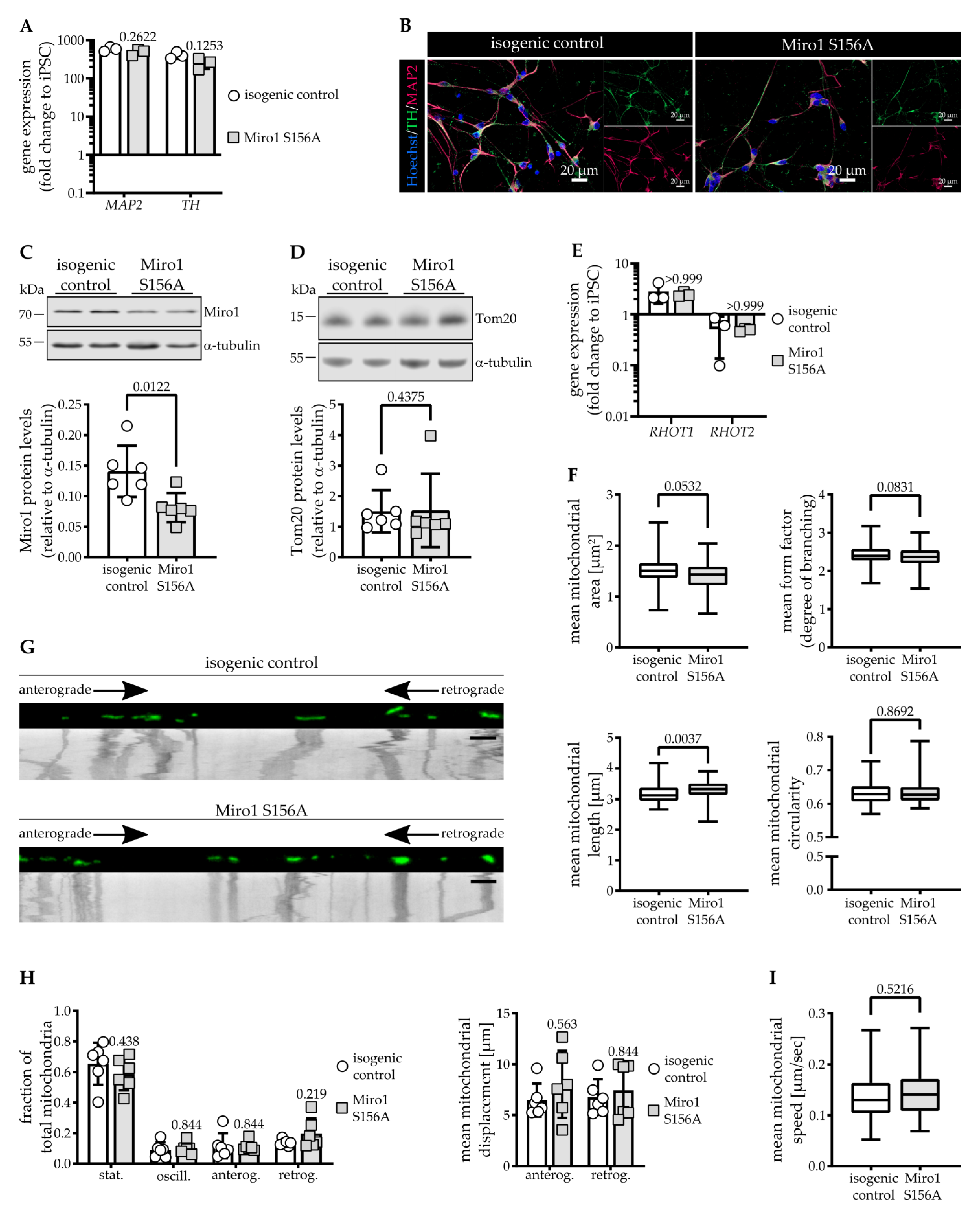 Cells 11 01269 g001 550