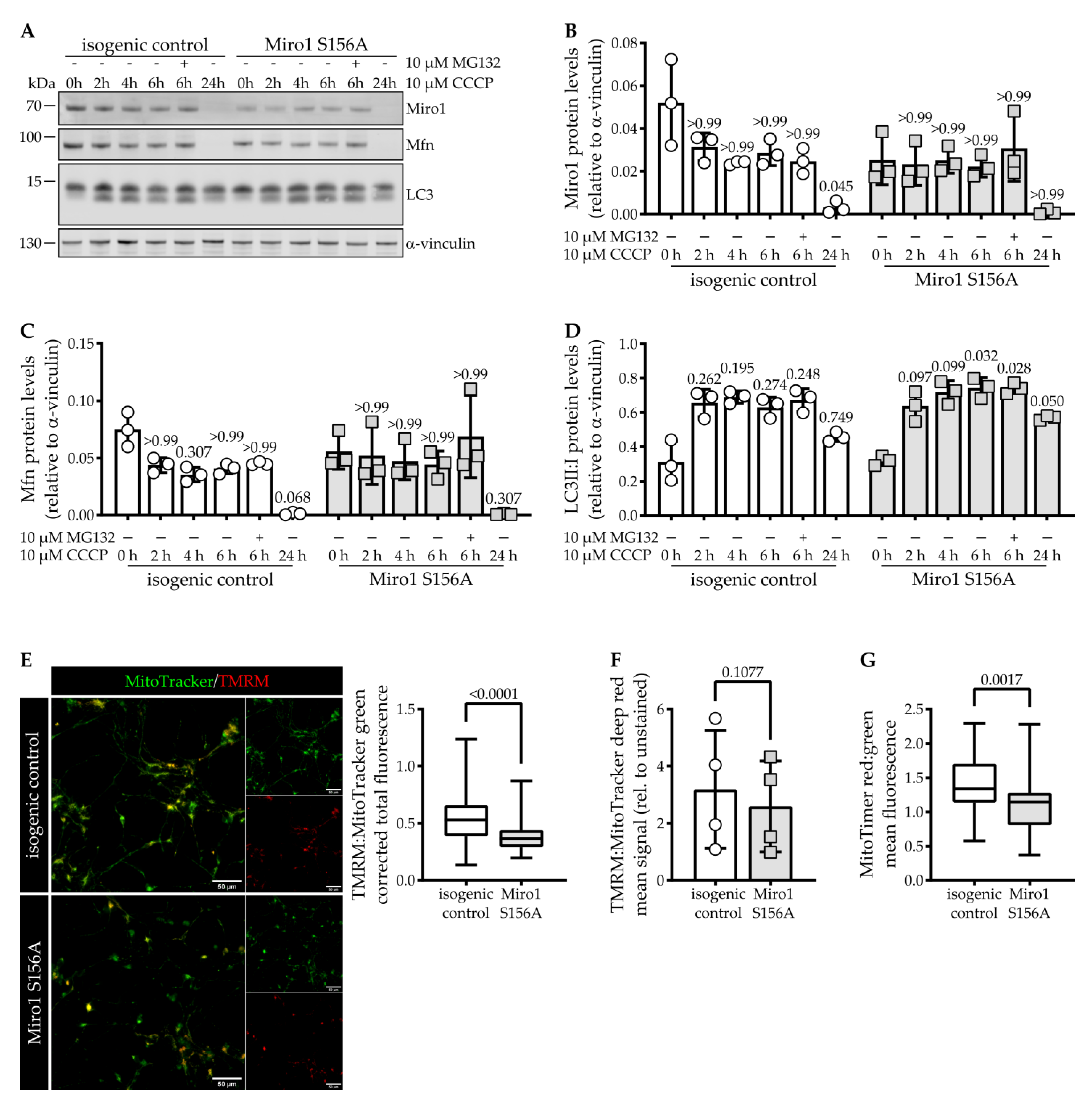 Cells 11 01269 g002 550