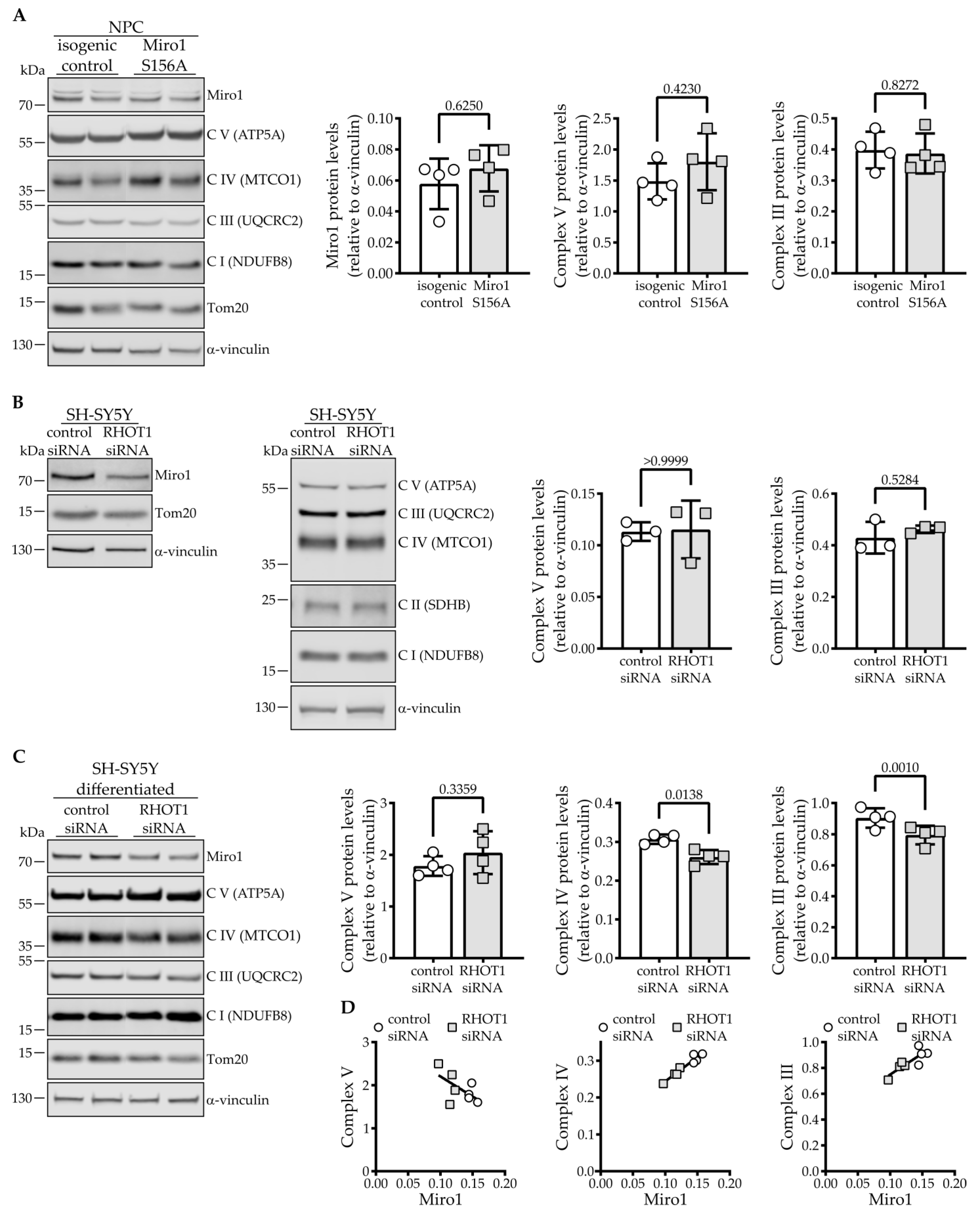 Cells 11 01269 g004 550