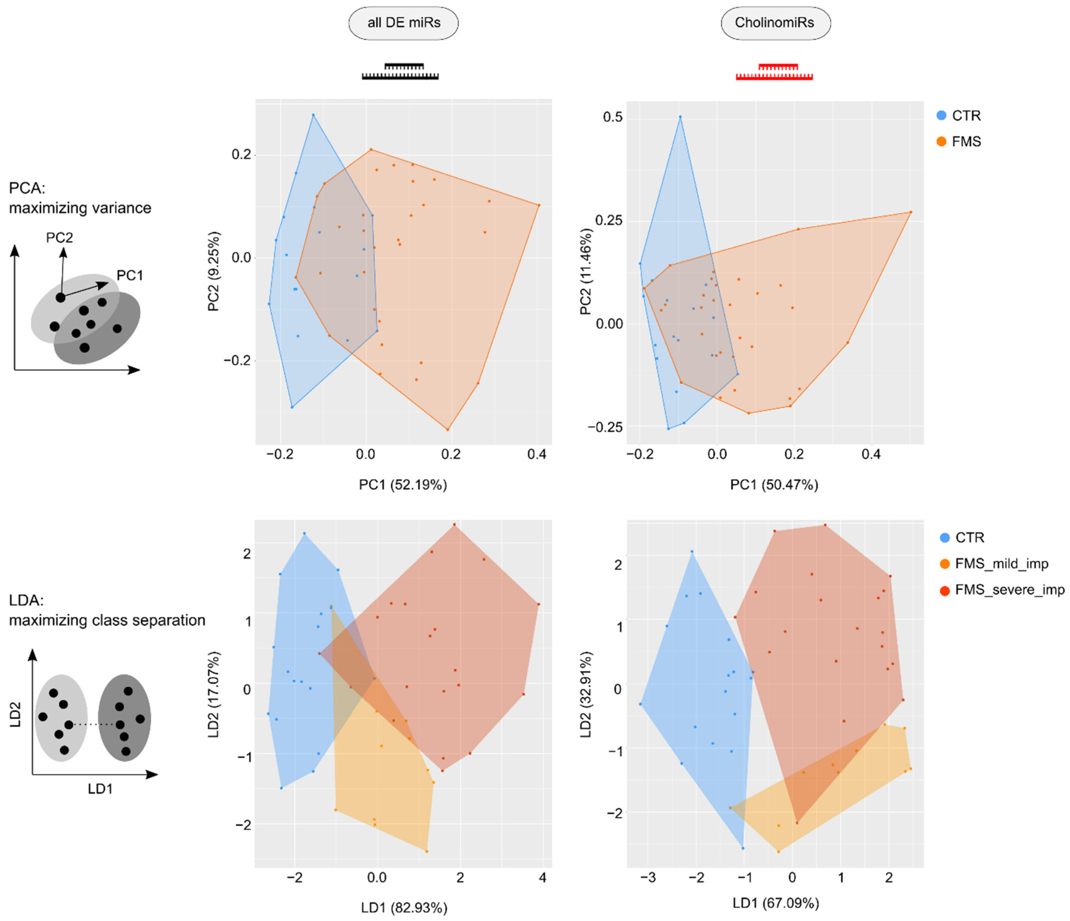 Cells 11 01276 g003 Cells 11 01276 g003