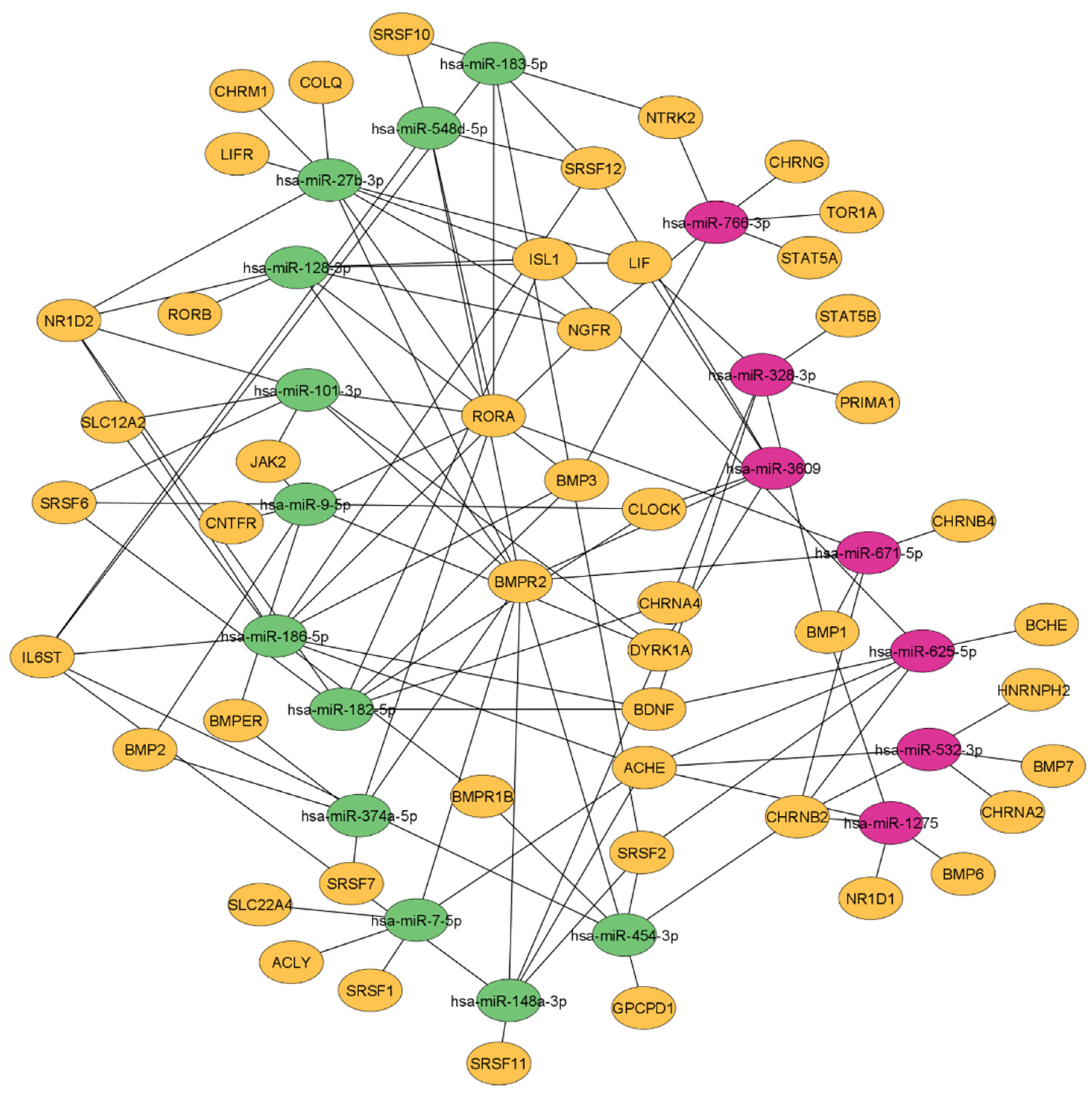 Cells 11 01276 g006 Cells 11 01276 g006