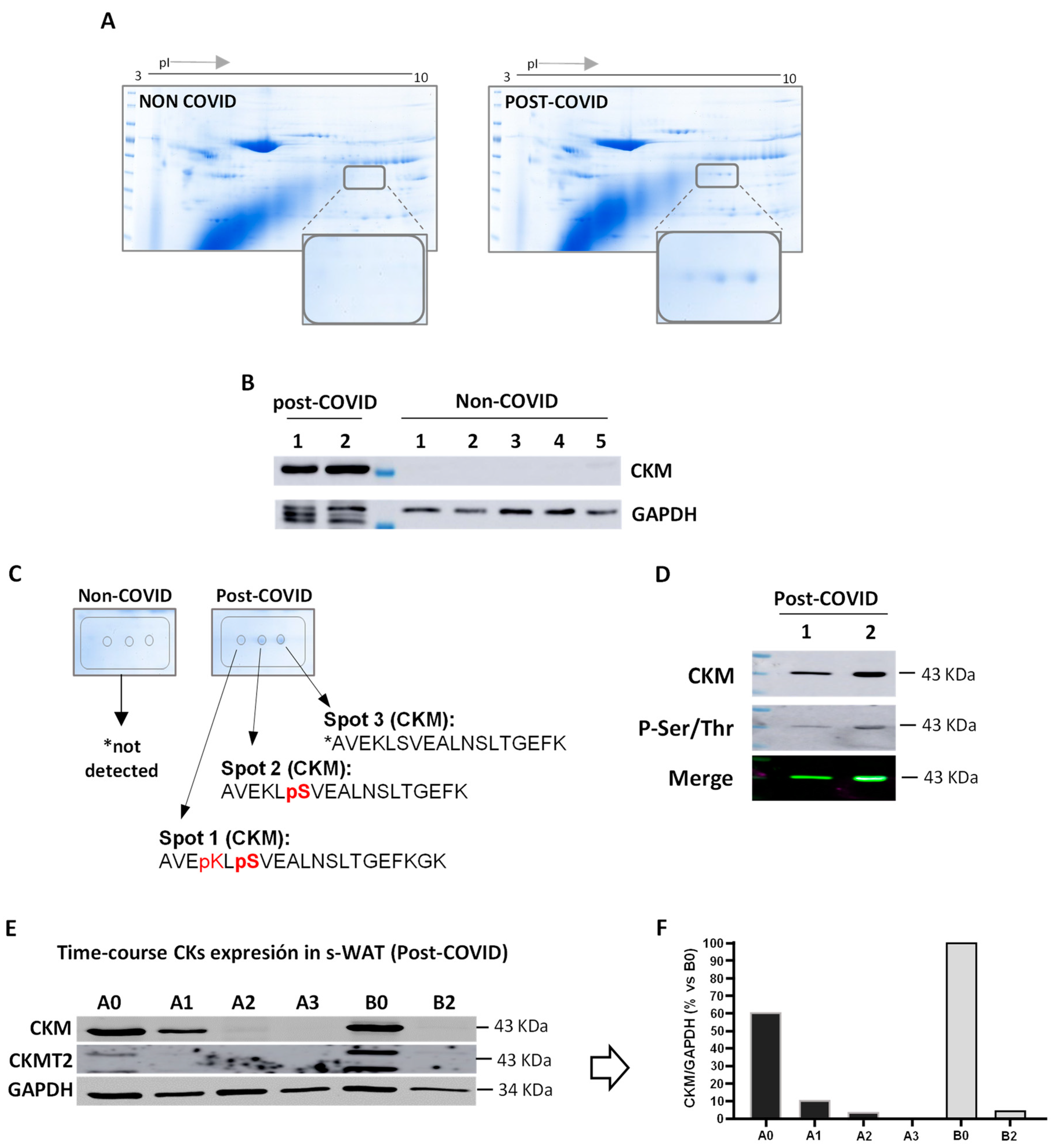 Cells 11 01282 g003 550
