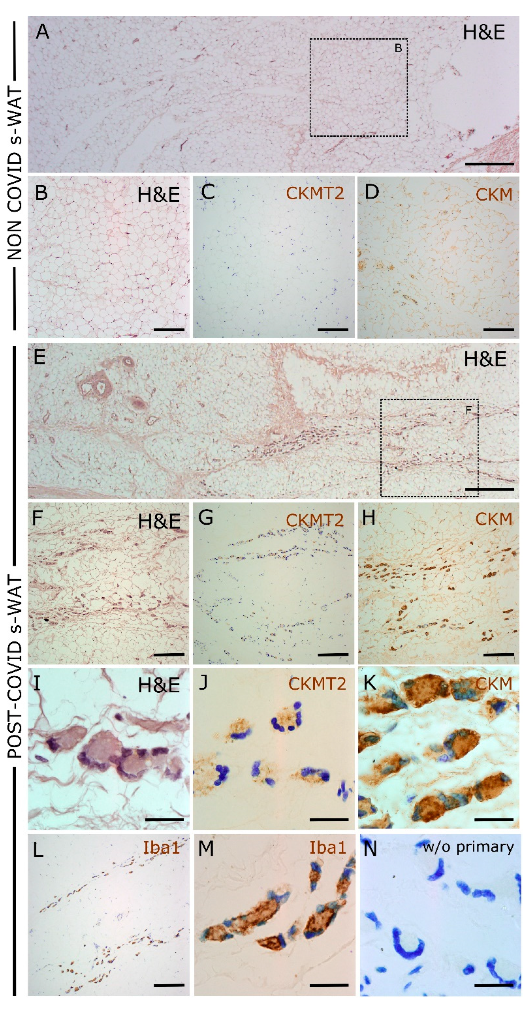Cells 11 01282 g004 550
