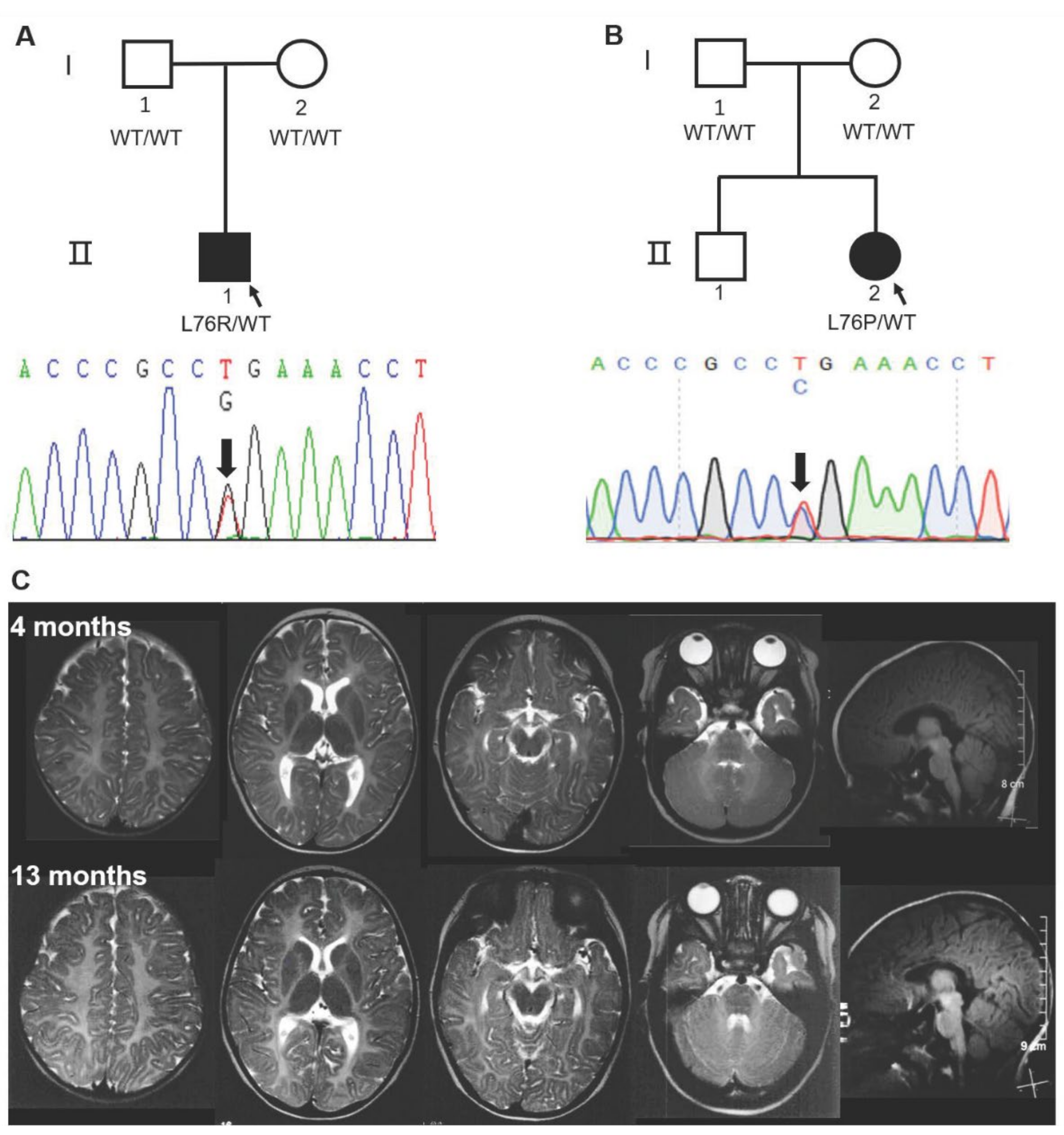 Cells 11 01285 g001 550
