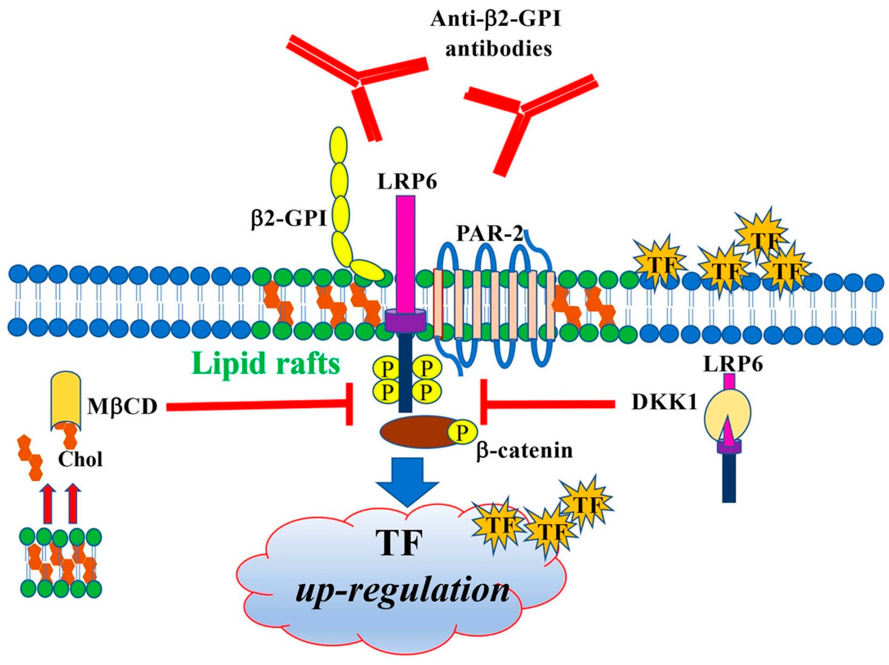 Cells 11 01288 g005 550
