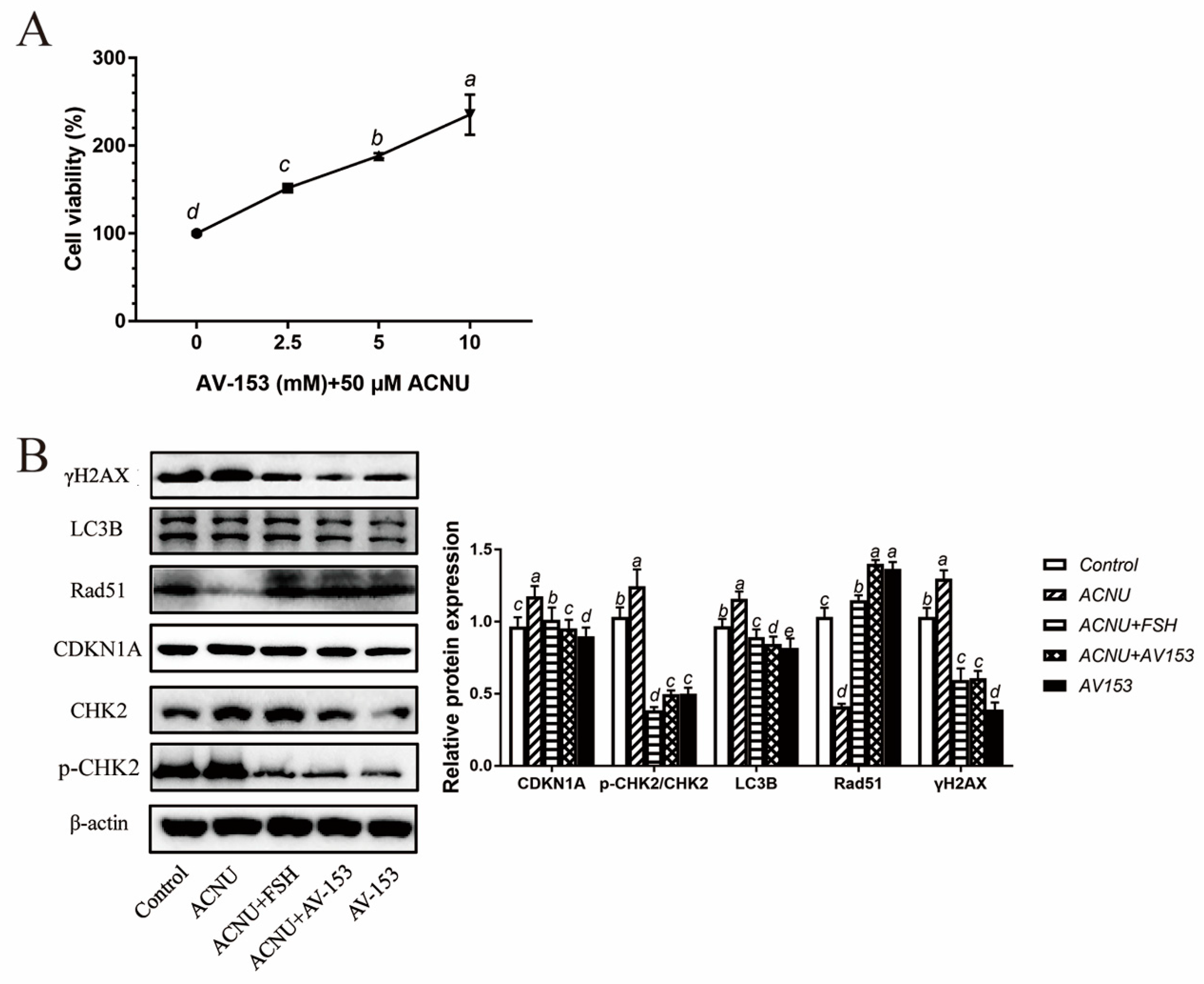 Cells 11 01291 g006 550