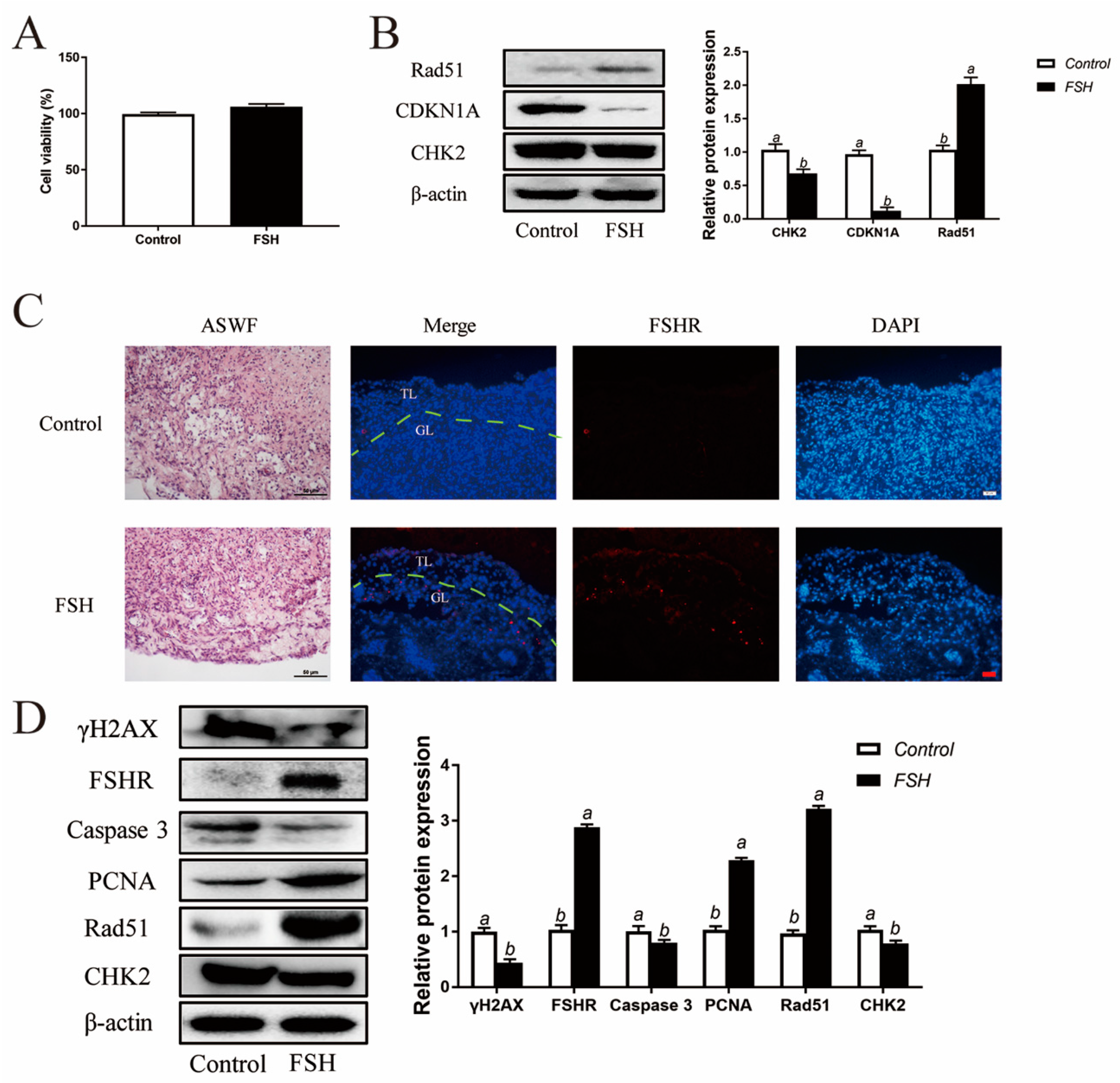 Cells 11 01291 g008 550