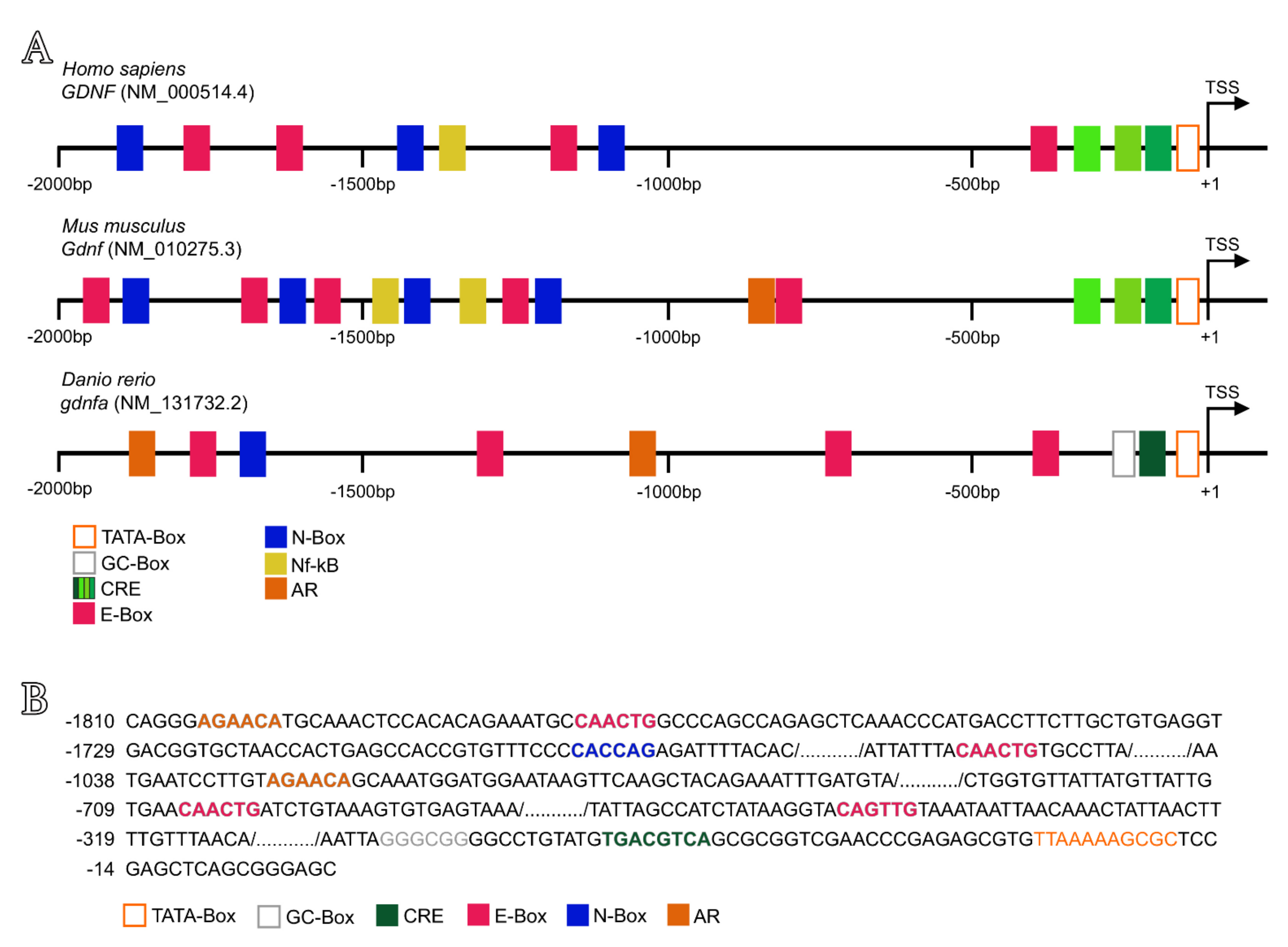 Cells 11 01295 g009 Cells 11 01295 g009