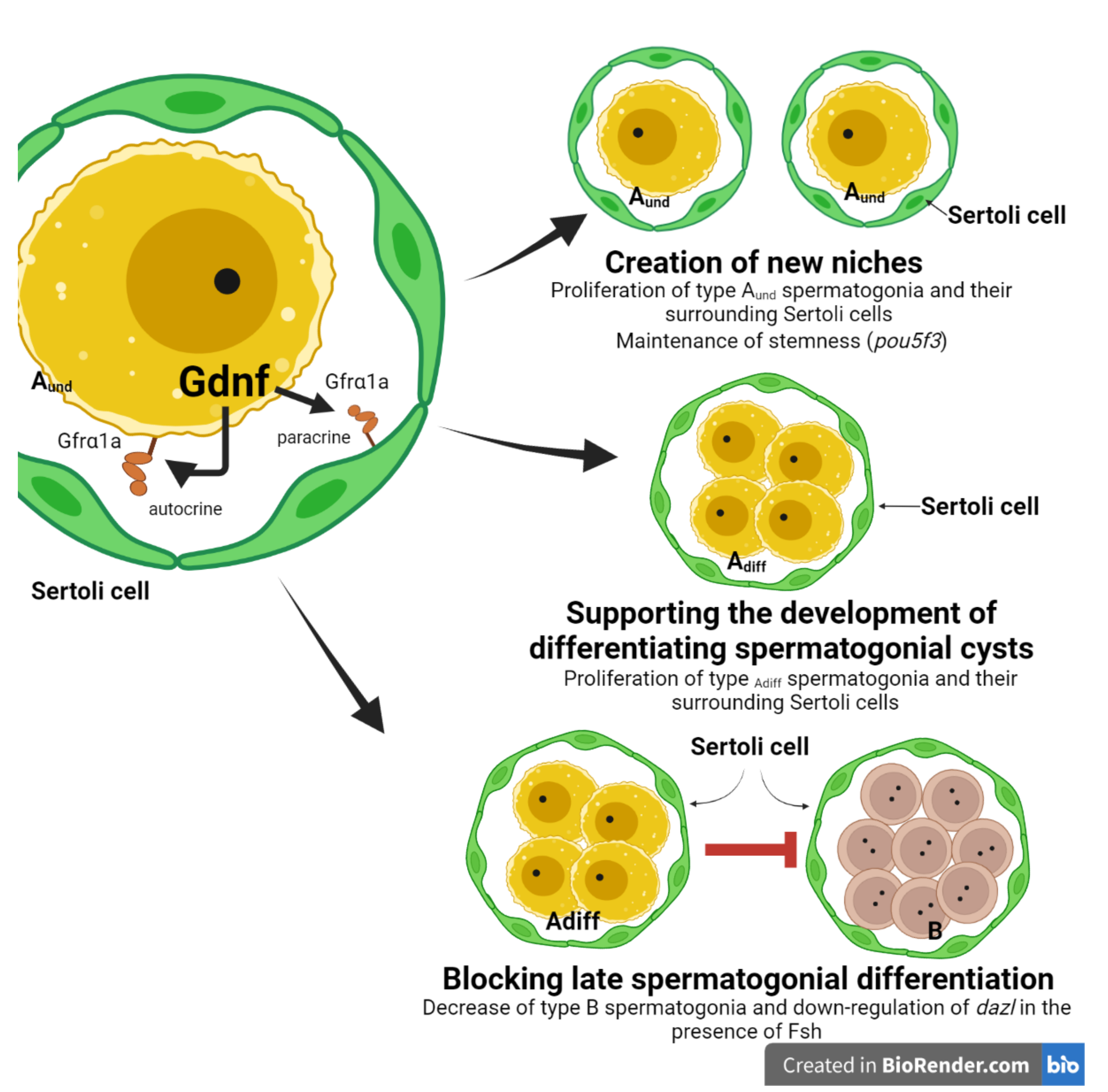 Cells 11 01295 g010 Cells 11 01295 g010