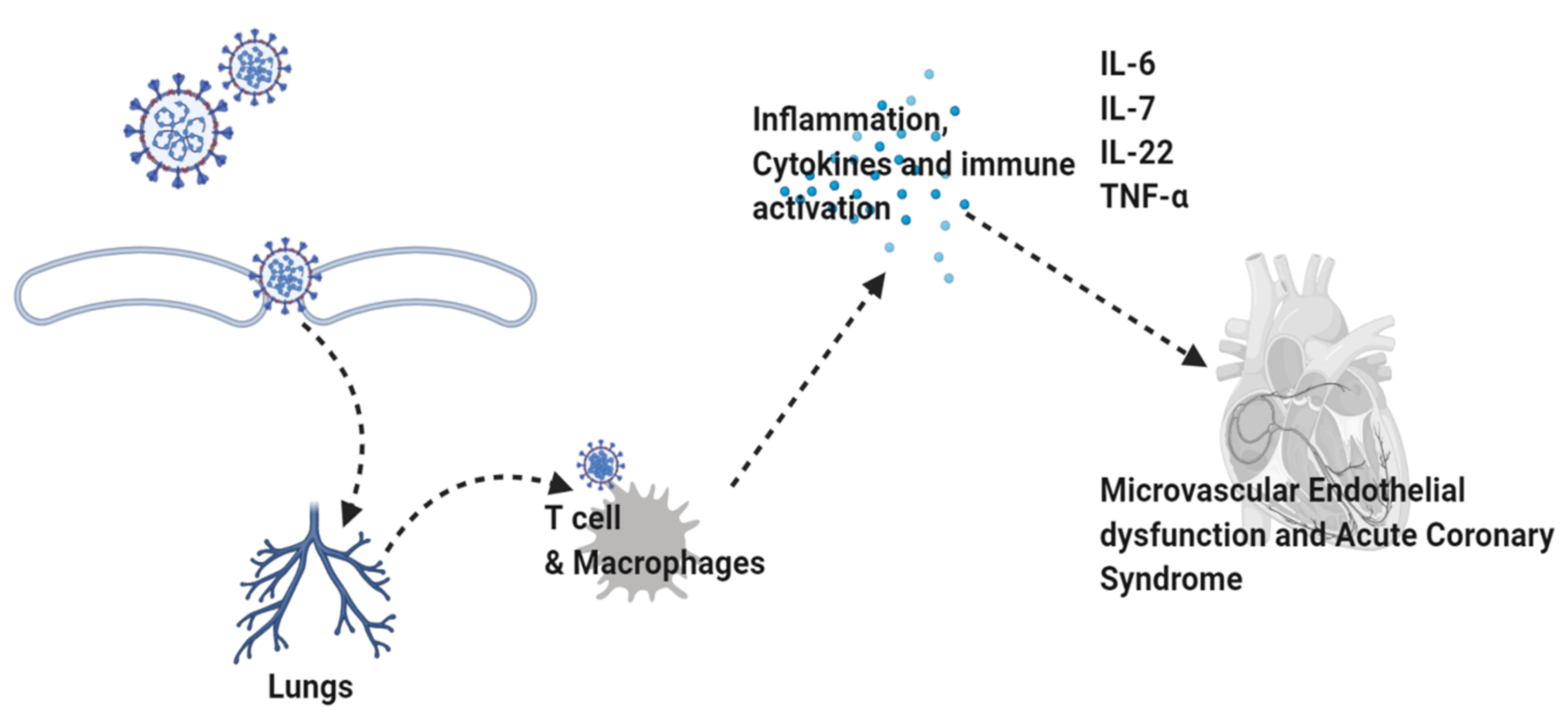 Cells 11 01298 g004 Cells 11 01298 g004