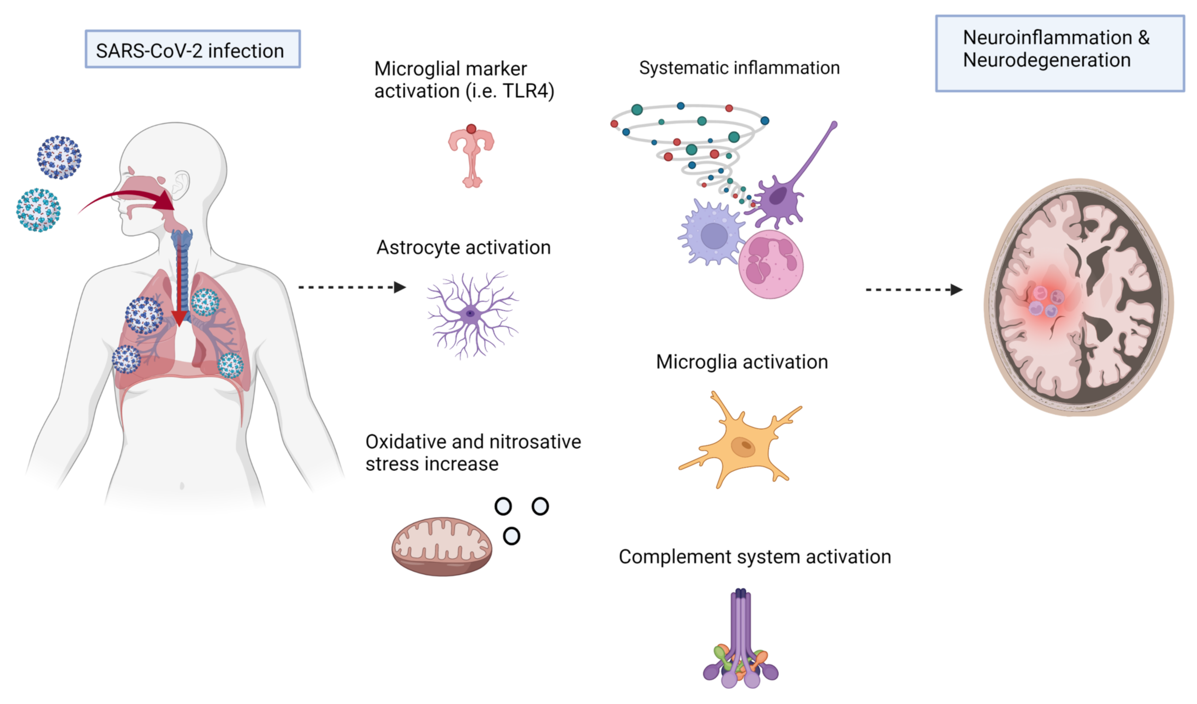 Cells 11 01298 g005 Cells 11 01298 g005