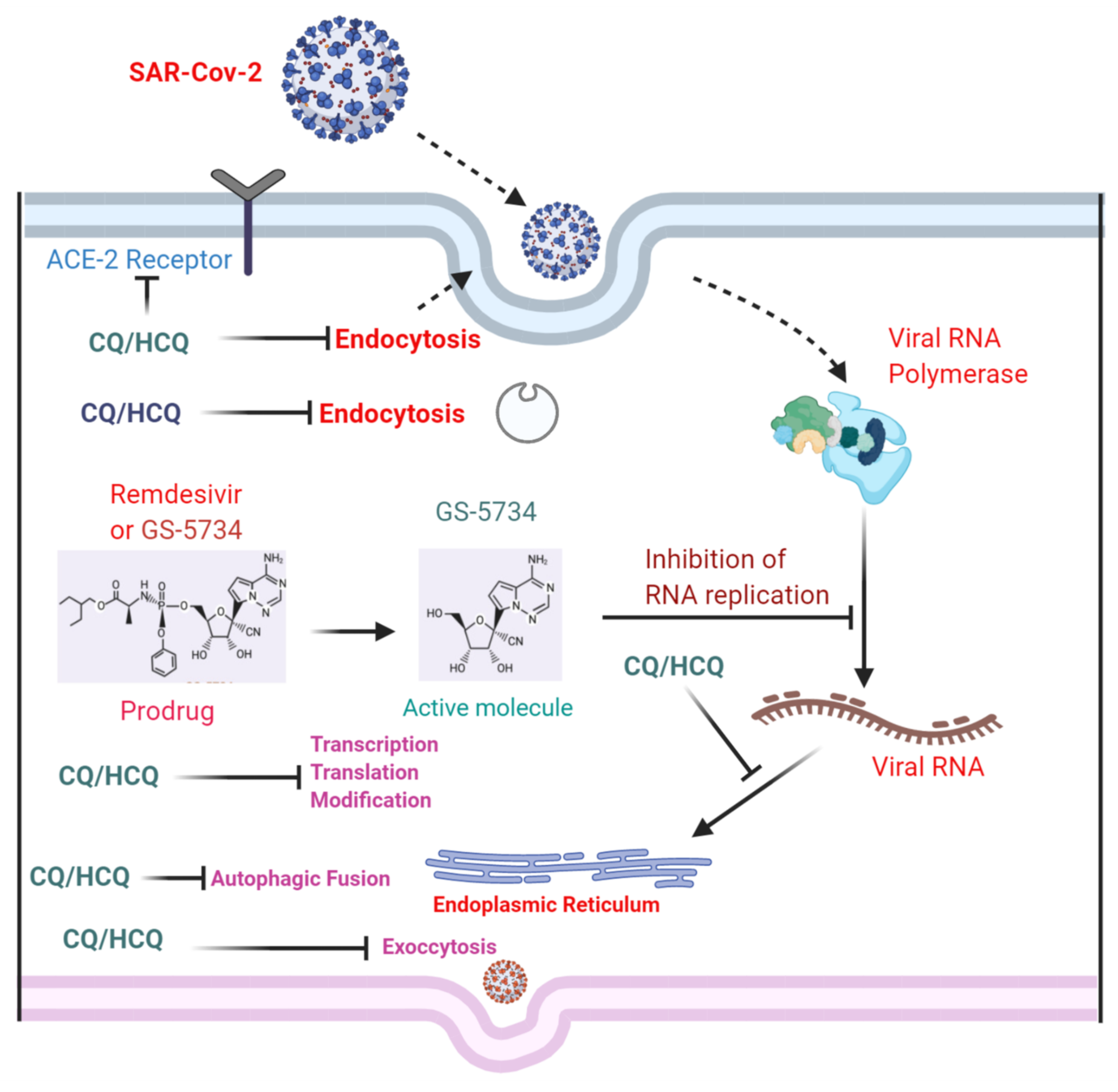 Cells 11 01298 g007 Cells 11 01298 g007