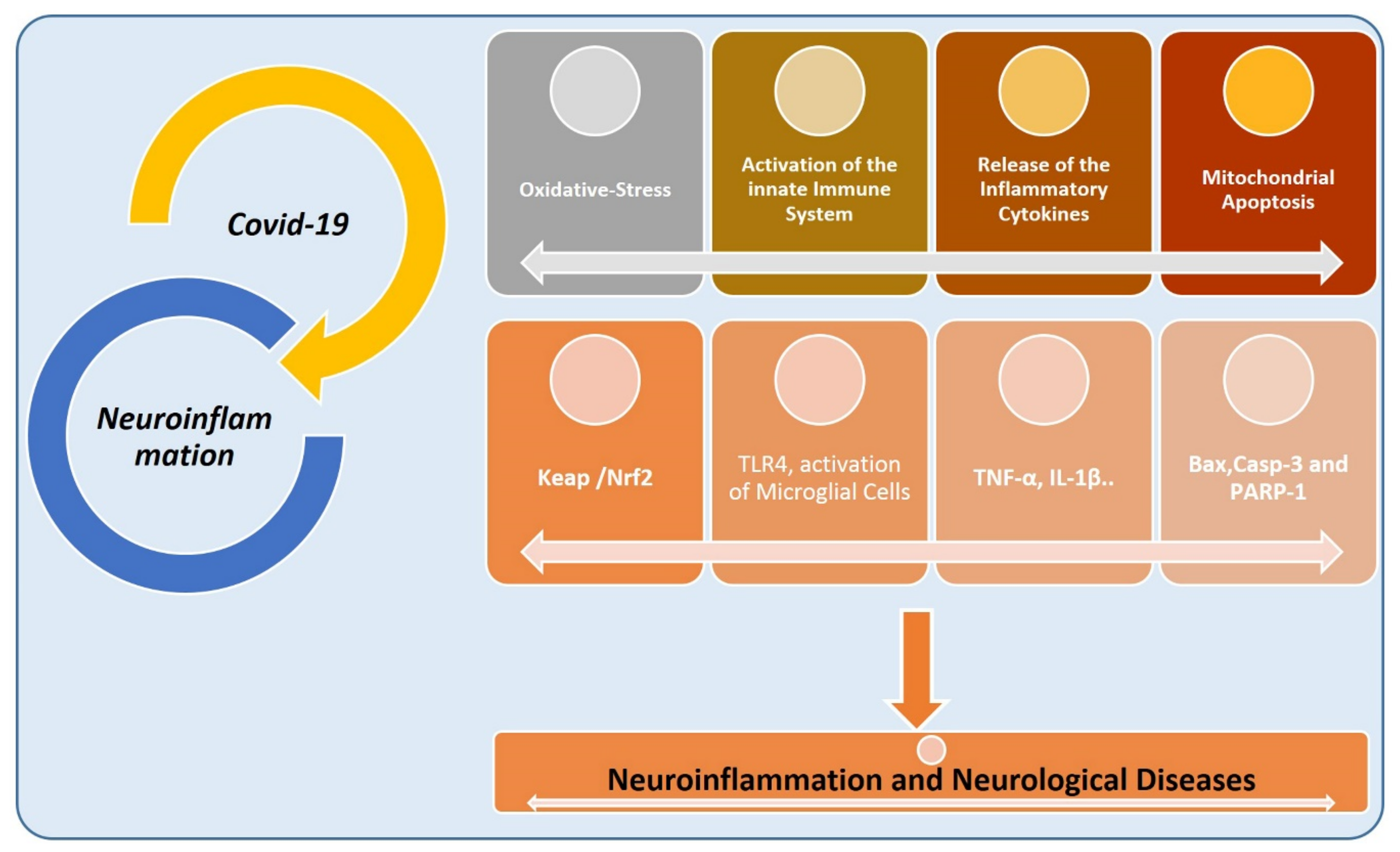 Cells 11 01298 g008 Cells 11 01298 g008
