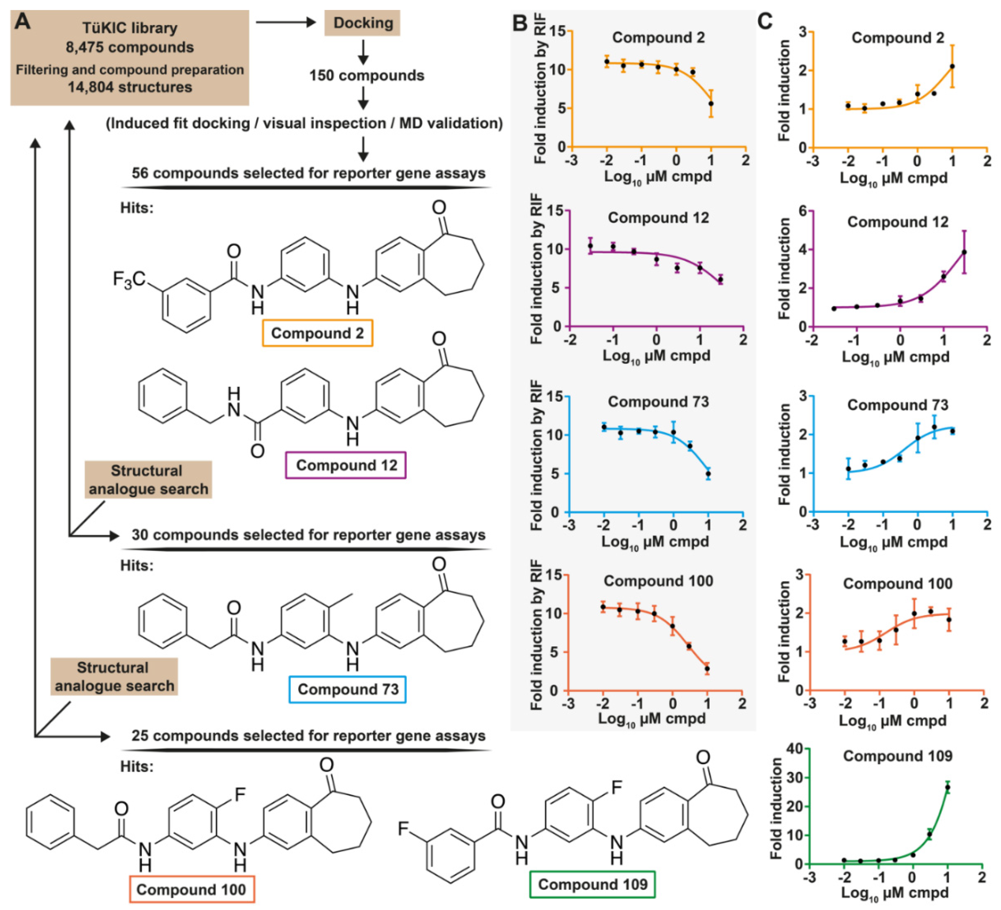 Cells 11 01299 g001 Cells 11 01299 g001
