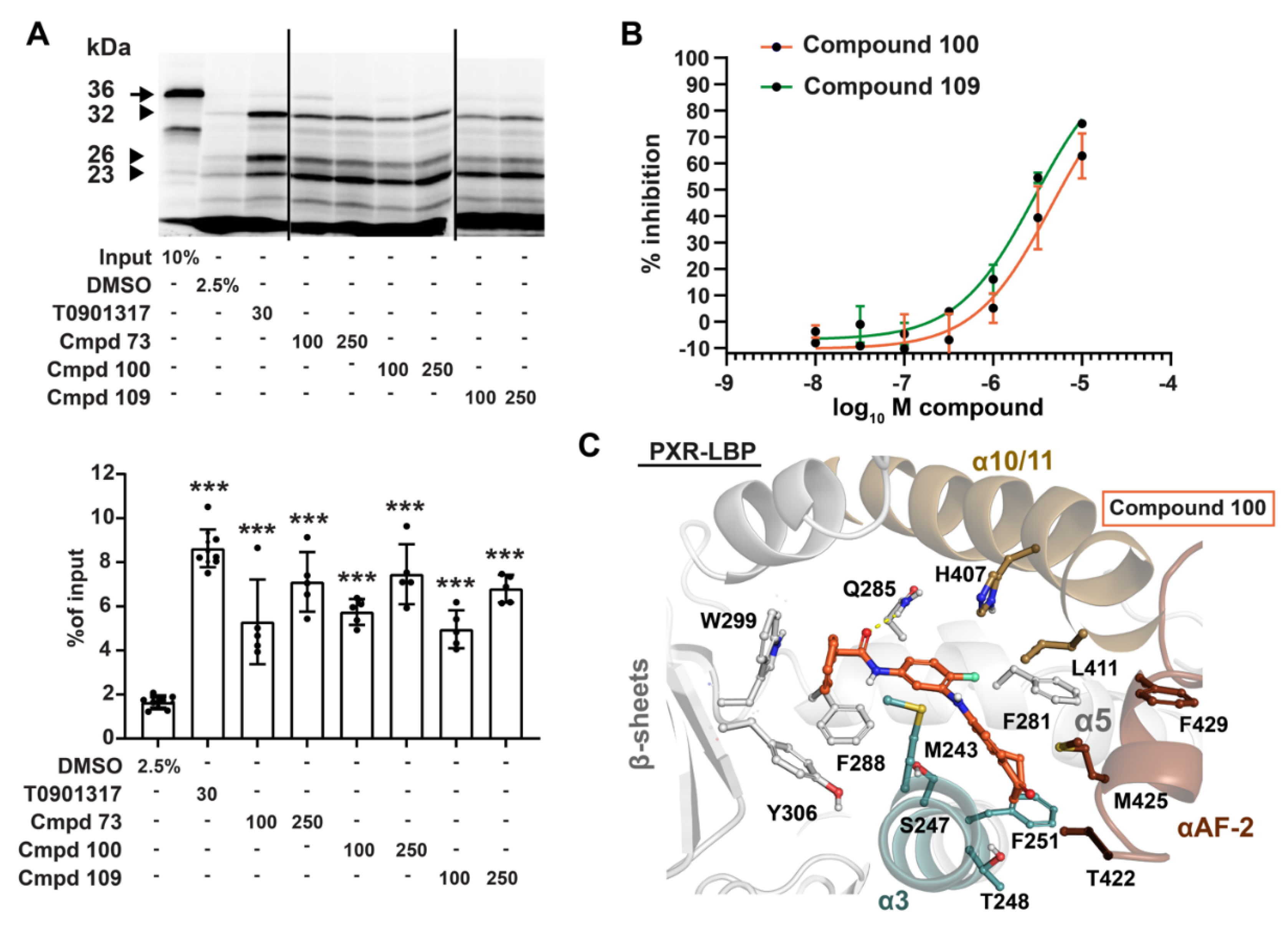 Cells 11 01299 g004 Cells 11 01299 g004