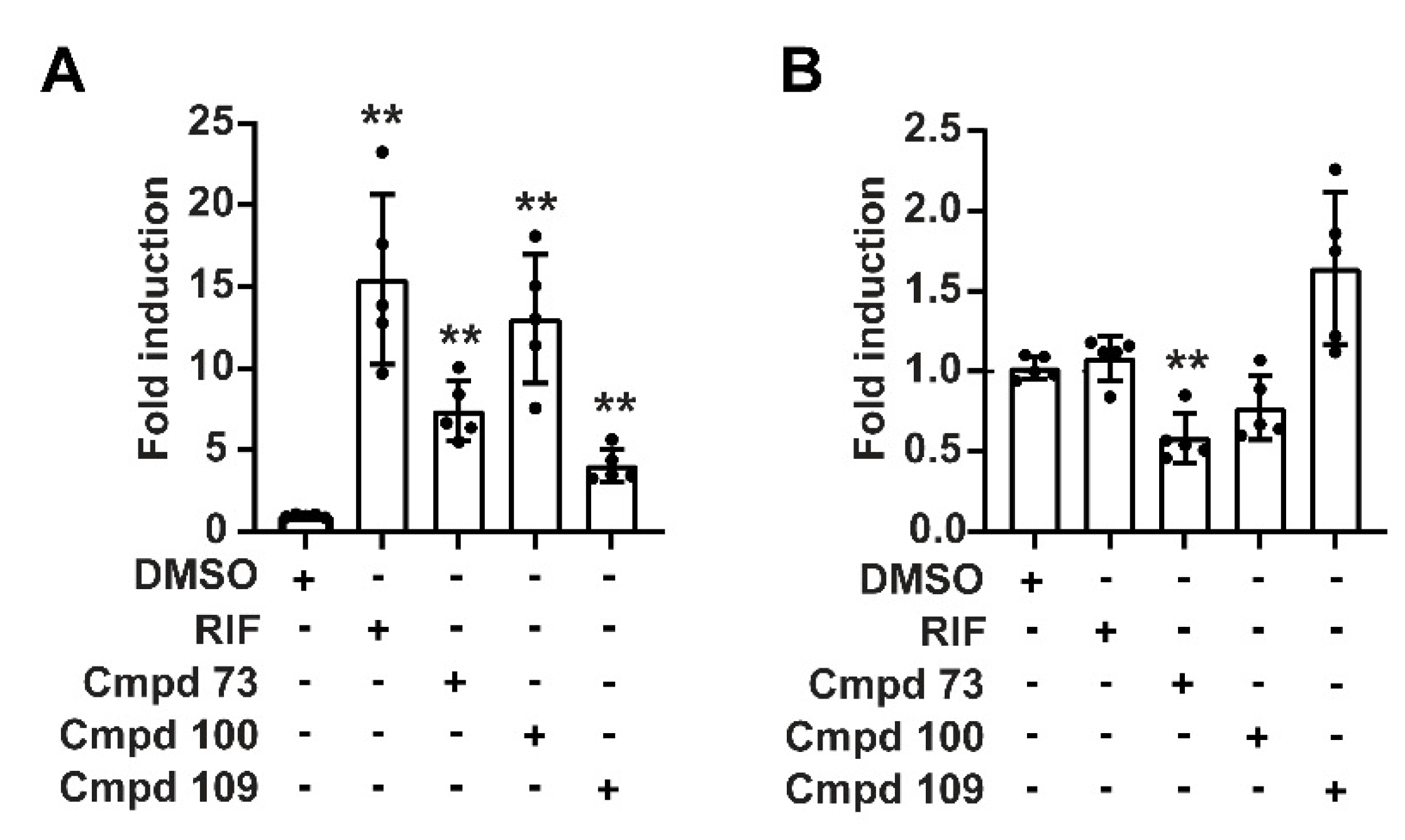 Cells 11 01299 g005 Cells 11 01299 g005