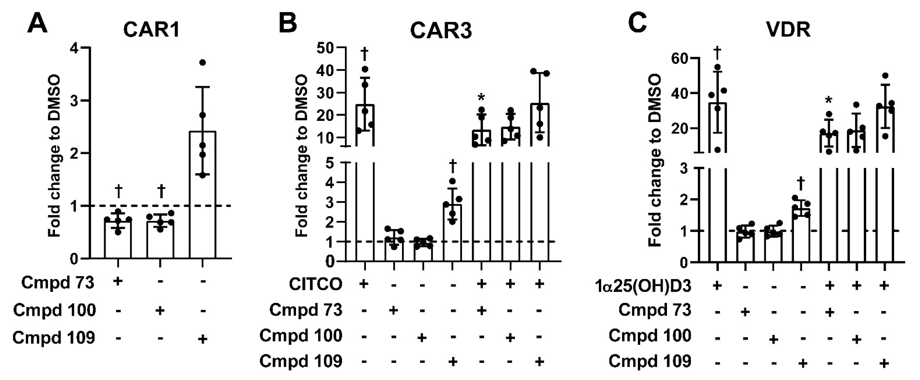 Cells 11 01299 g006 Cells 11 01299 g006