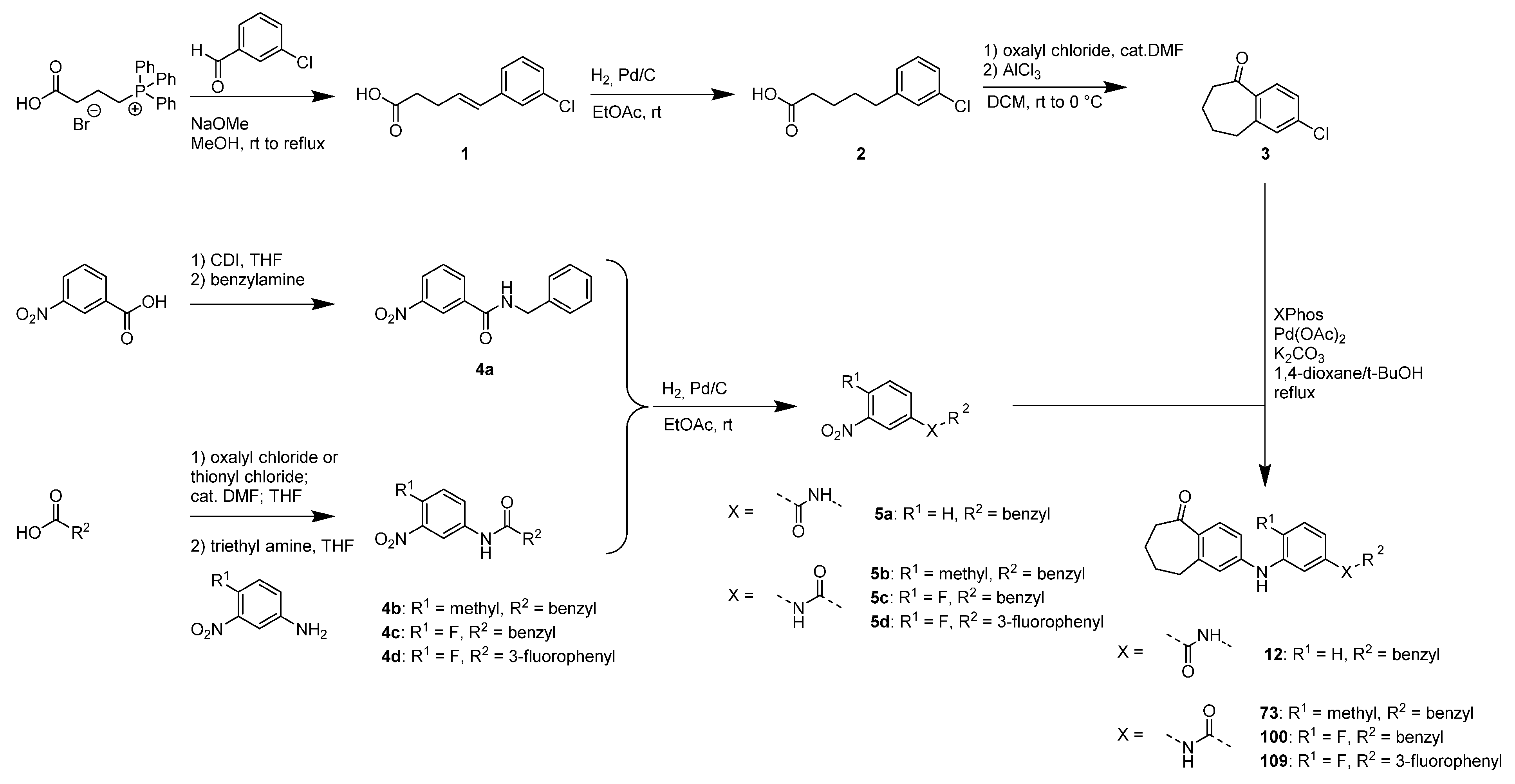 Cells 11 01299 sch001 Cells 11 01299 sch001
