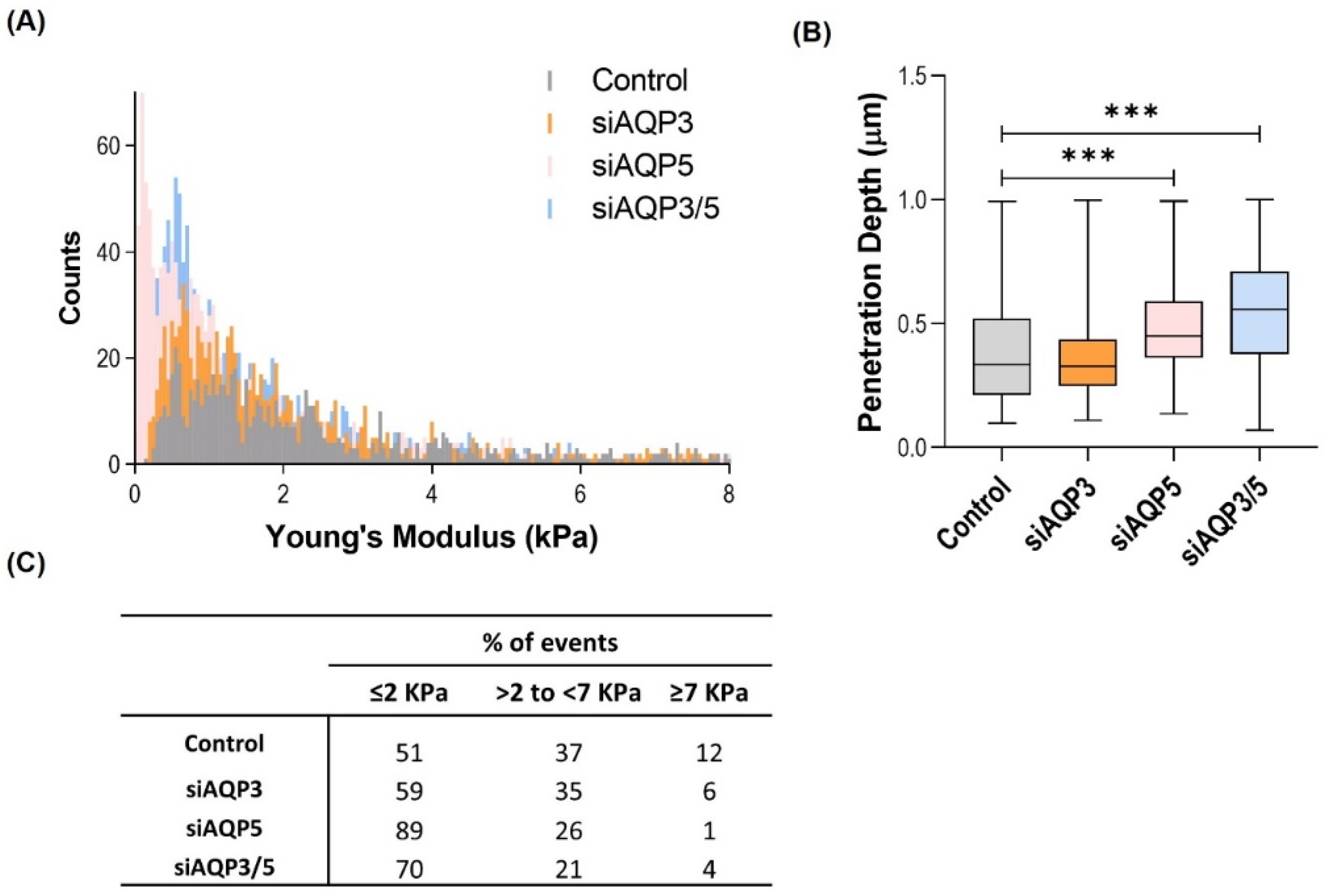 Cells 11 01308 g004 Cells 11 01308 g004