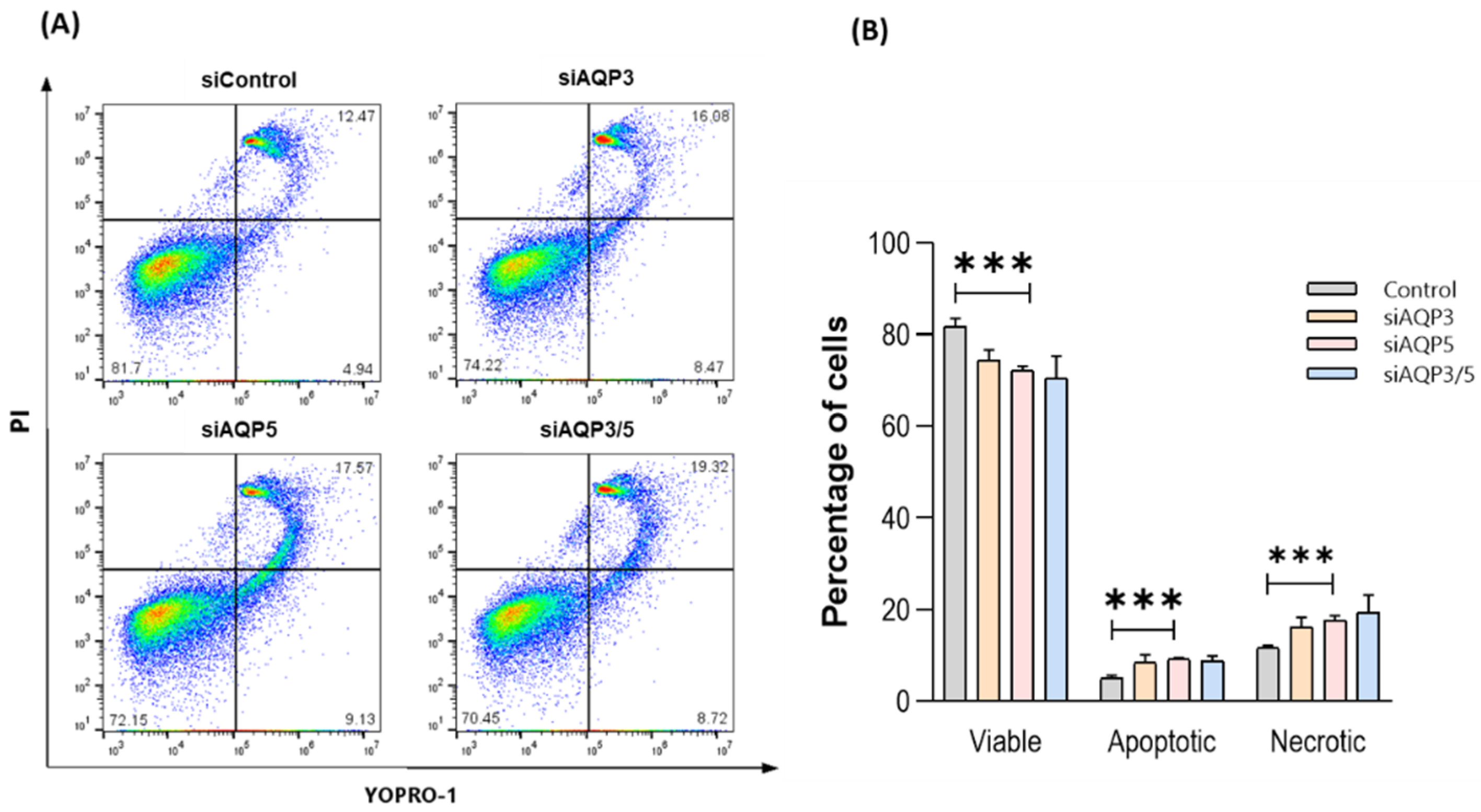 Cells 11 01308 g007 Cells 11 01308 g007