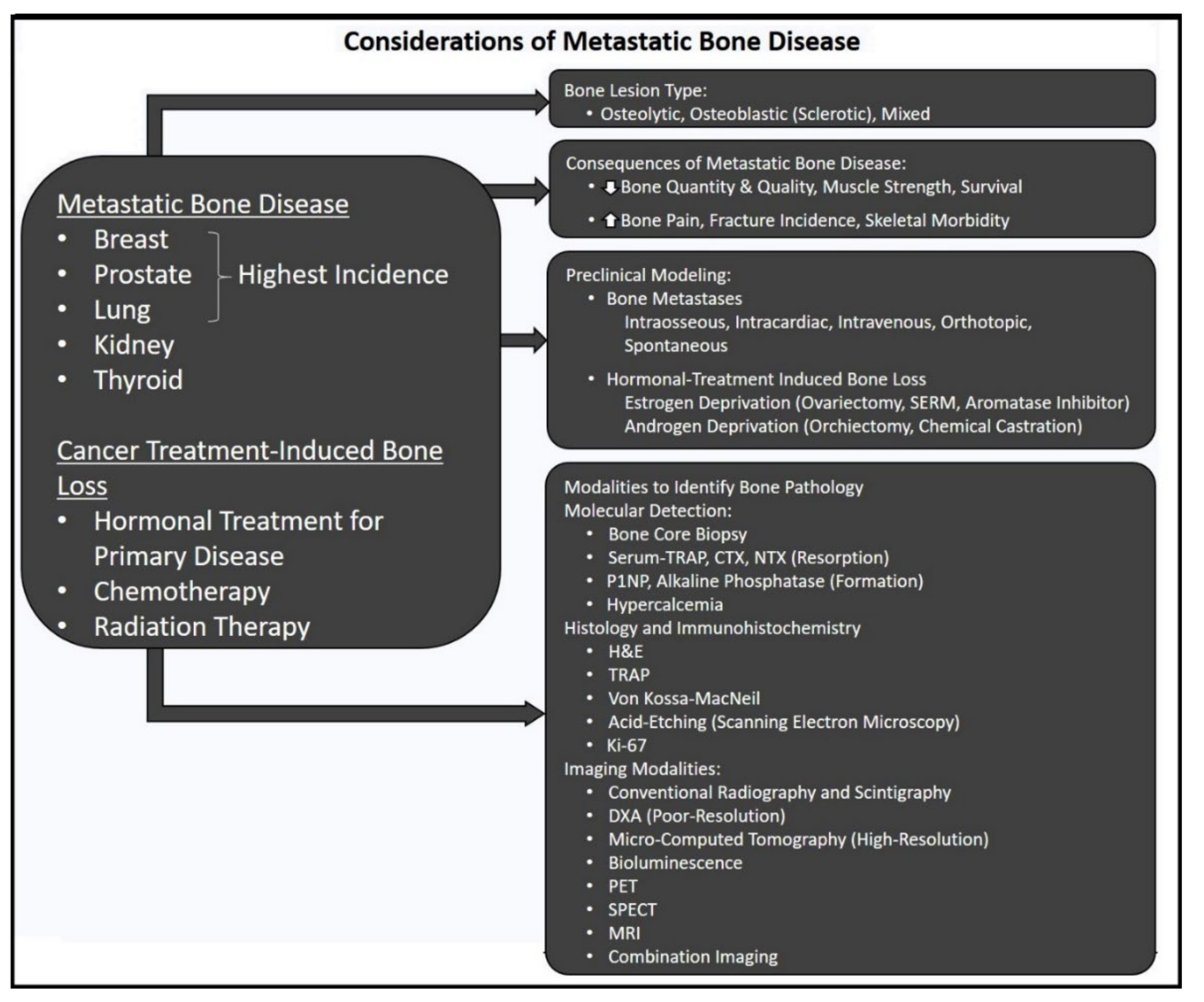 METeOR - Dogs with osteosarcoma or soft tissue sarcomas