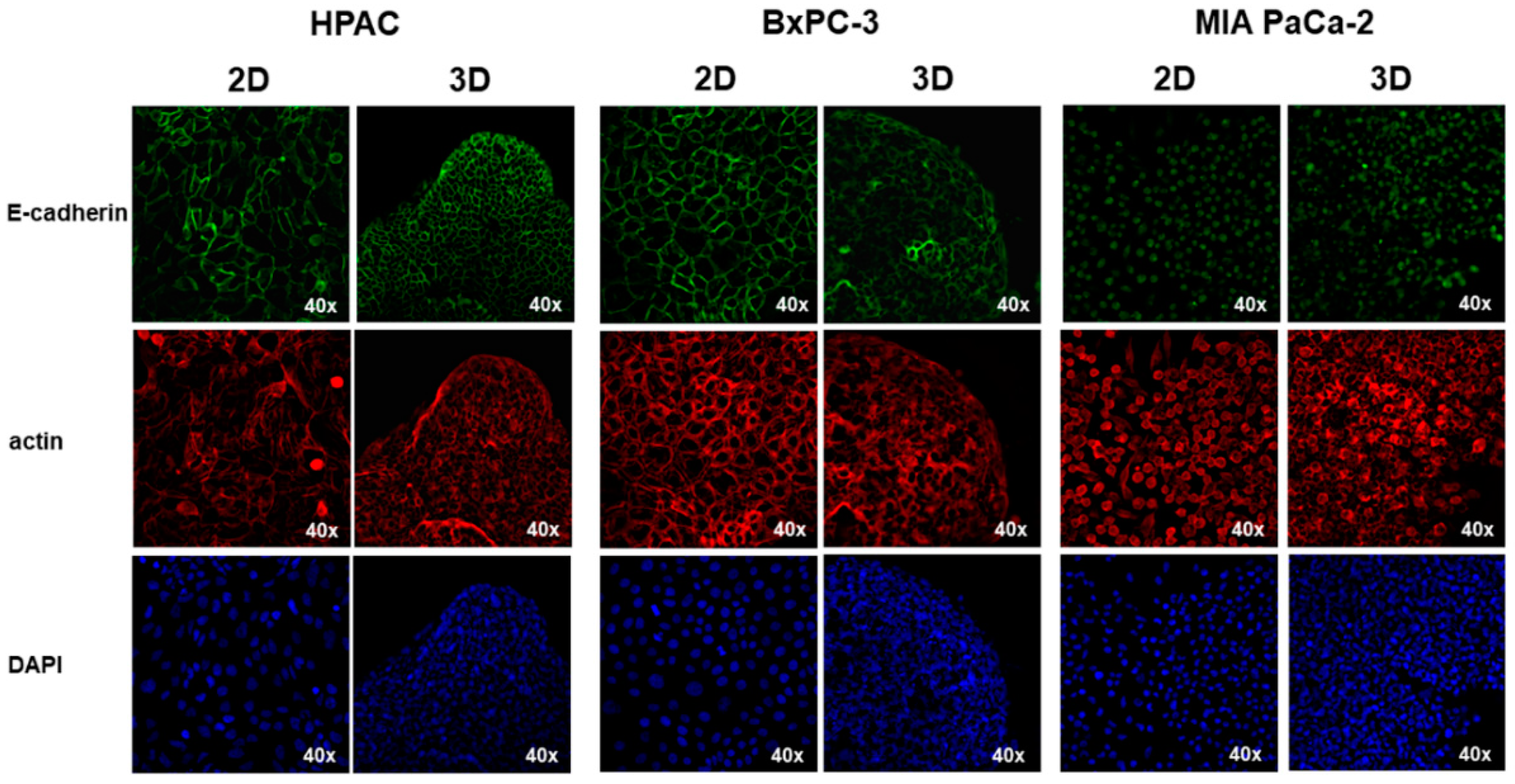 Cells 11 01318 g002 550