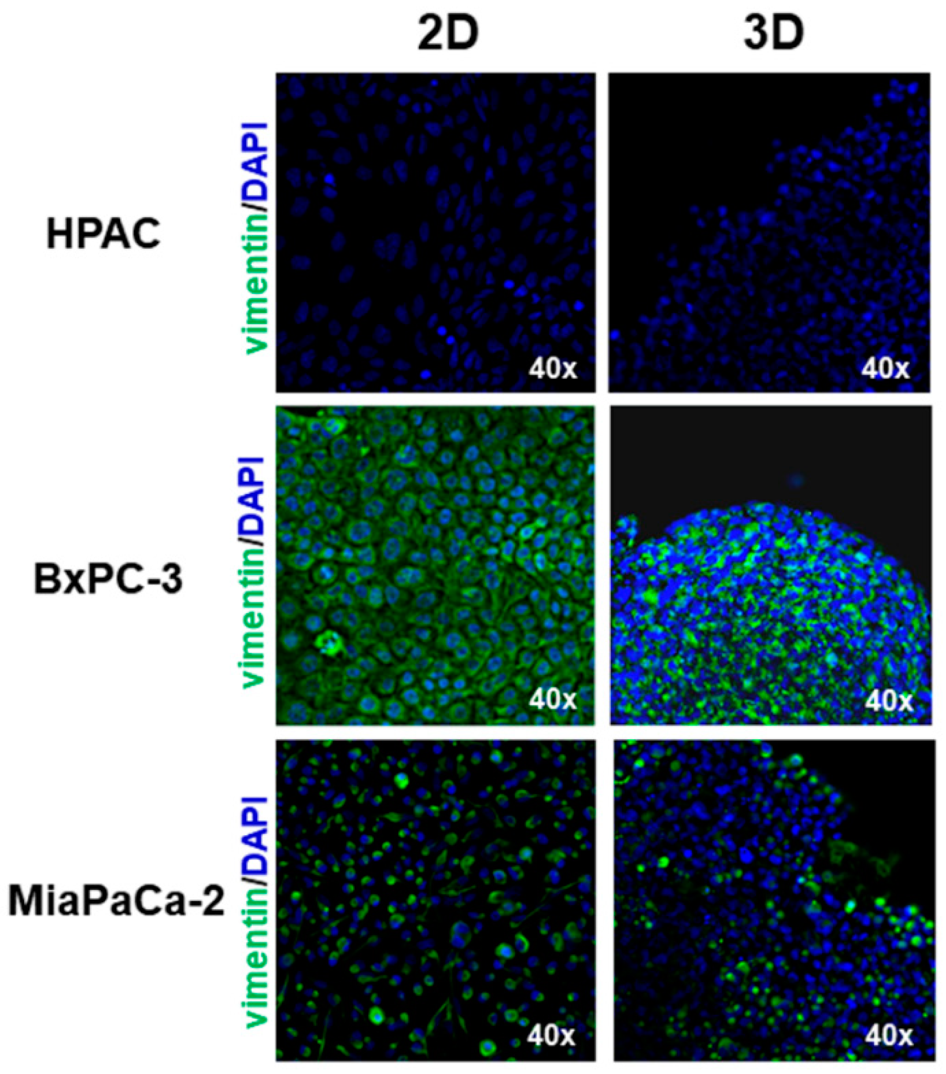 Cells 11 01318 g003 550
