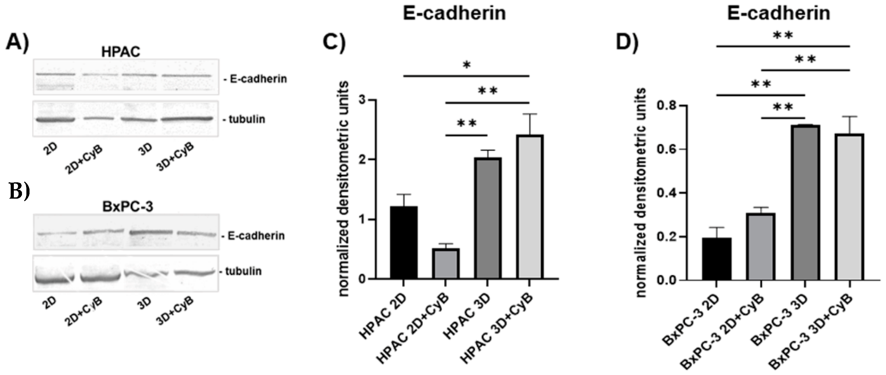 Cells 11 01318 g004 550