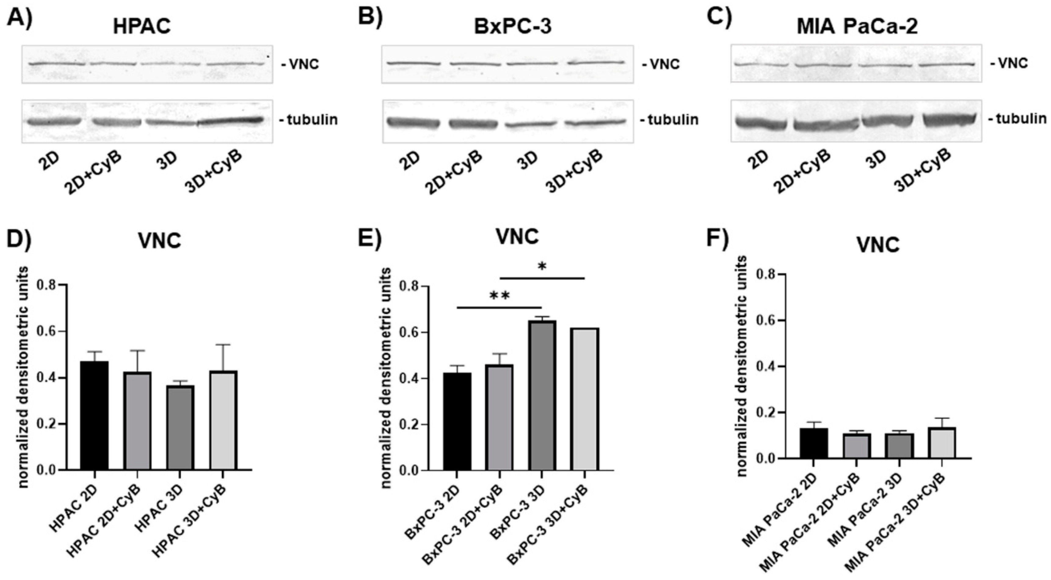 Cells 11 01318 g005 550