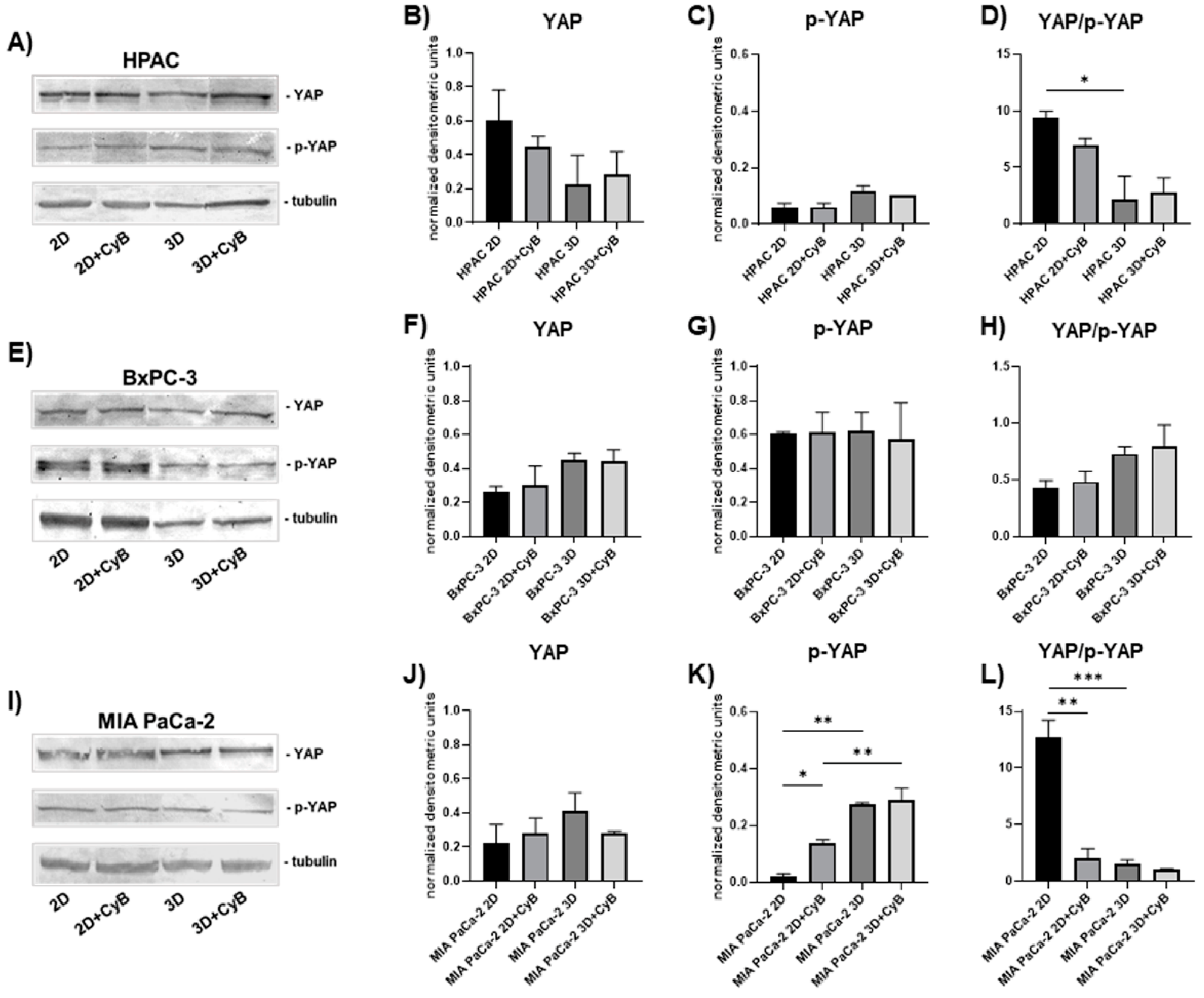 Cells 11 01318 g009 550