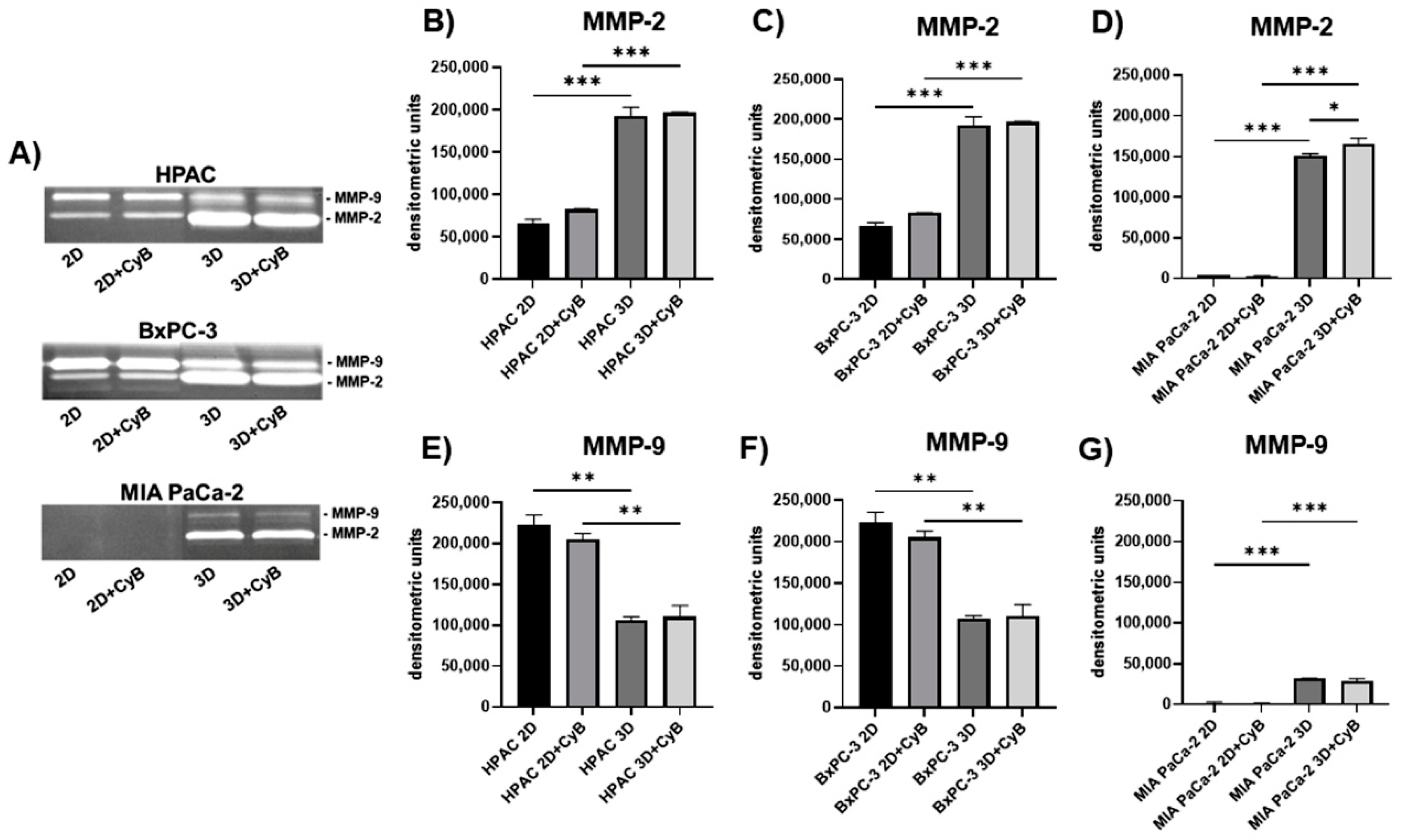 Cells 11 01318 g012 550