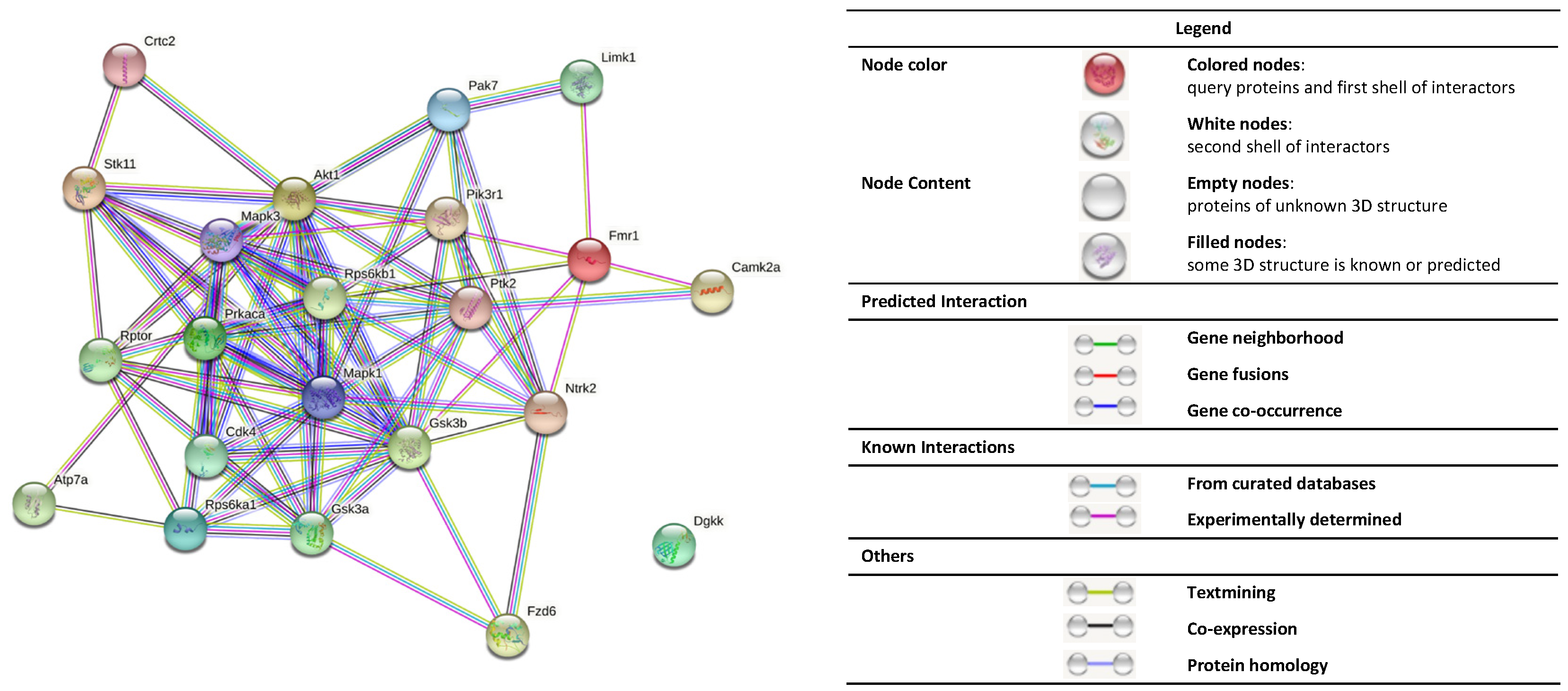 Cells 11 01325 g004 Cells 11 01325 g004