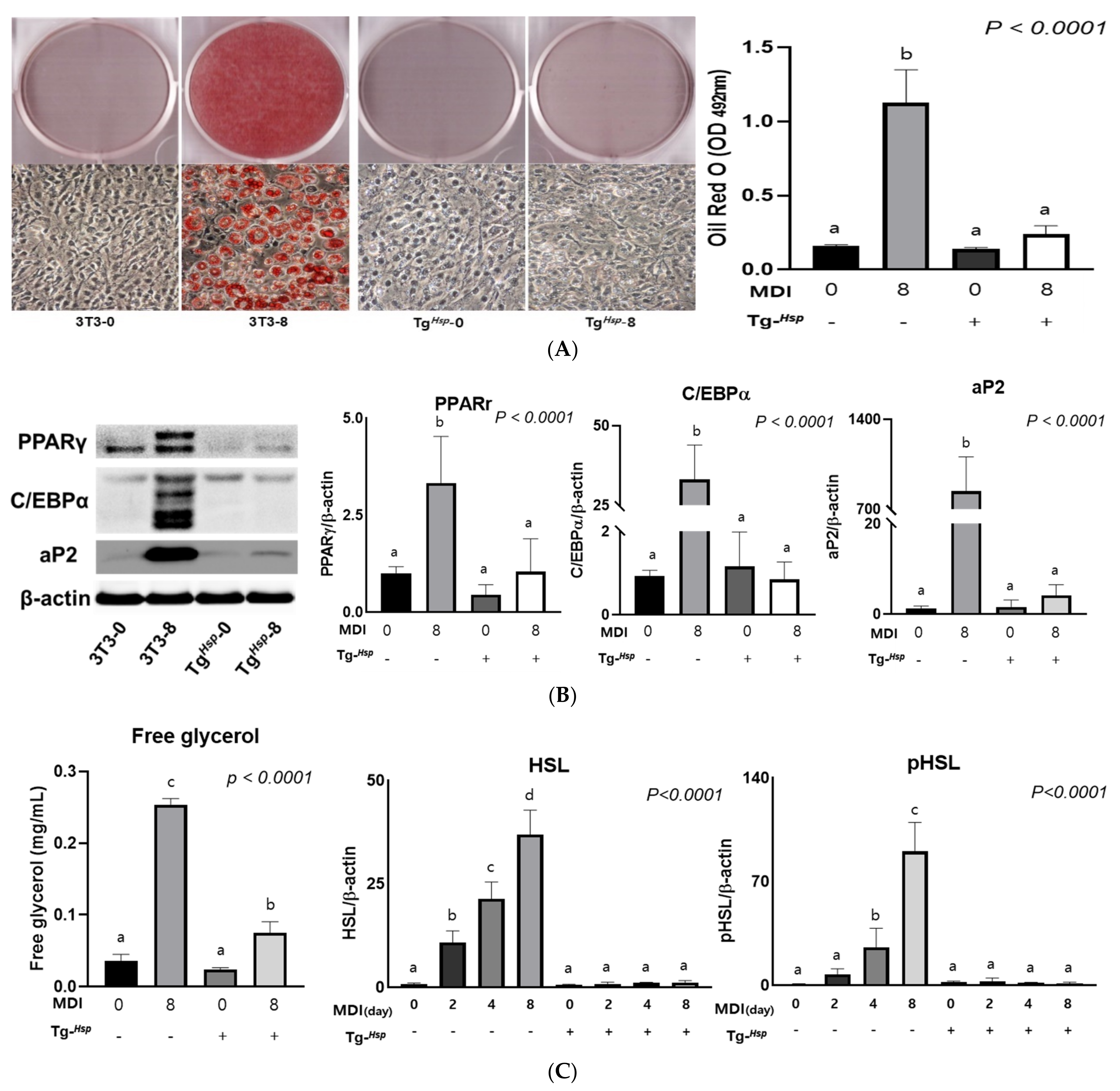 Cells 11 01331 g002 550