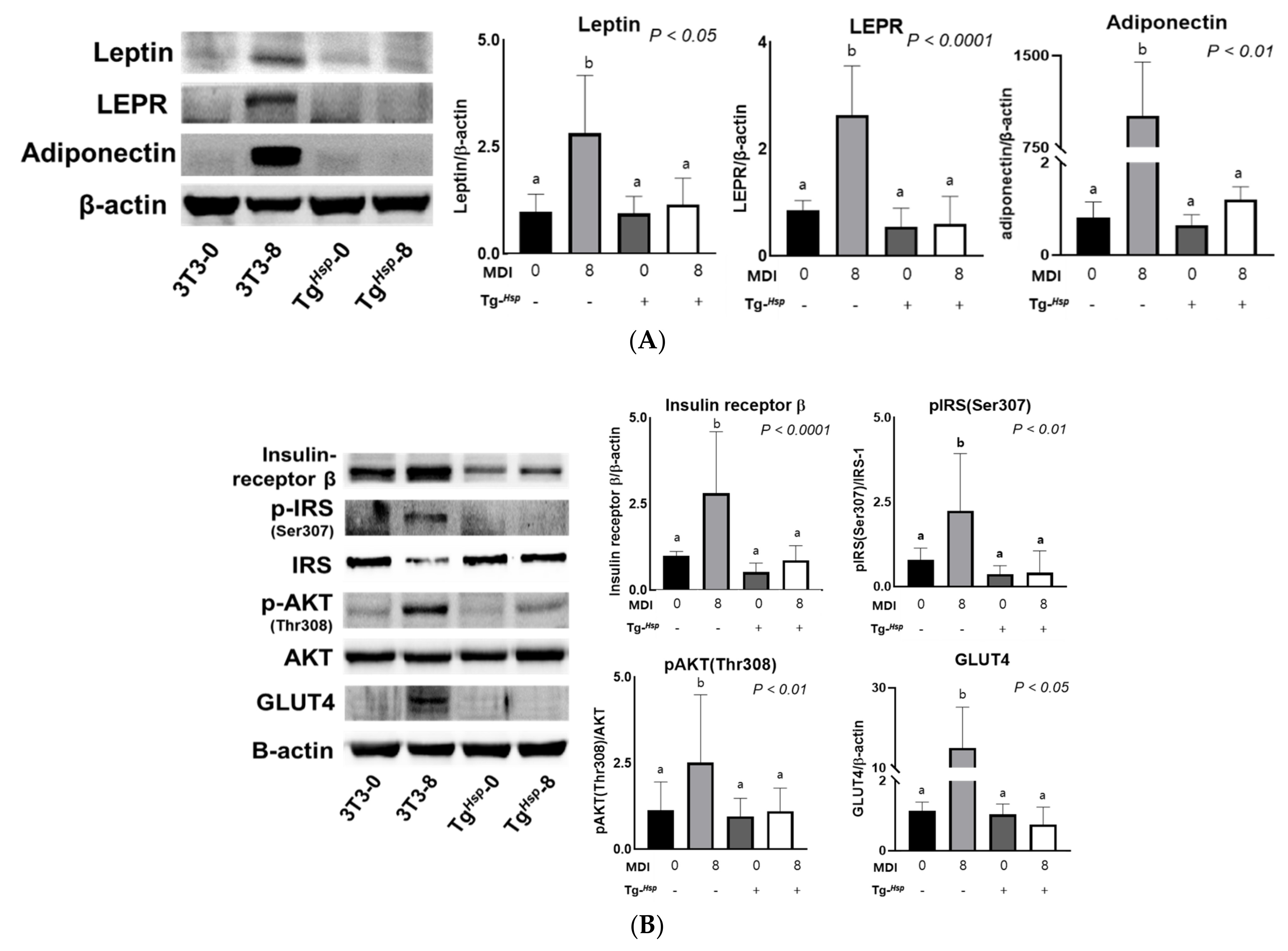 Cells 11 01331 g003 550