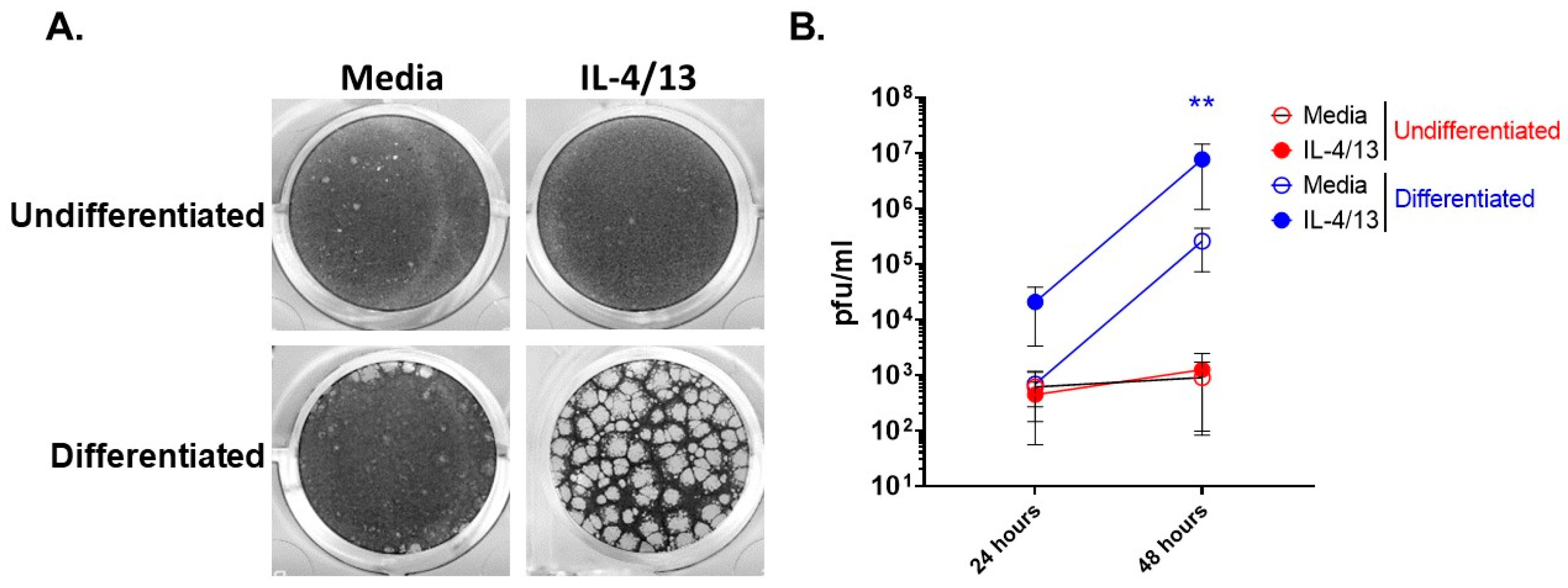 Cells 11 01337 g001 550