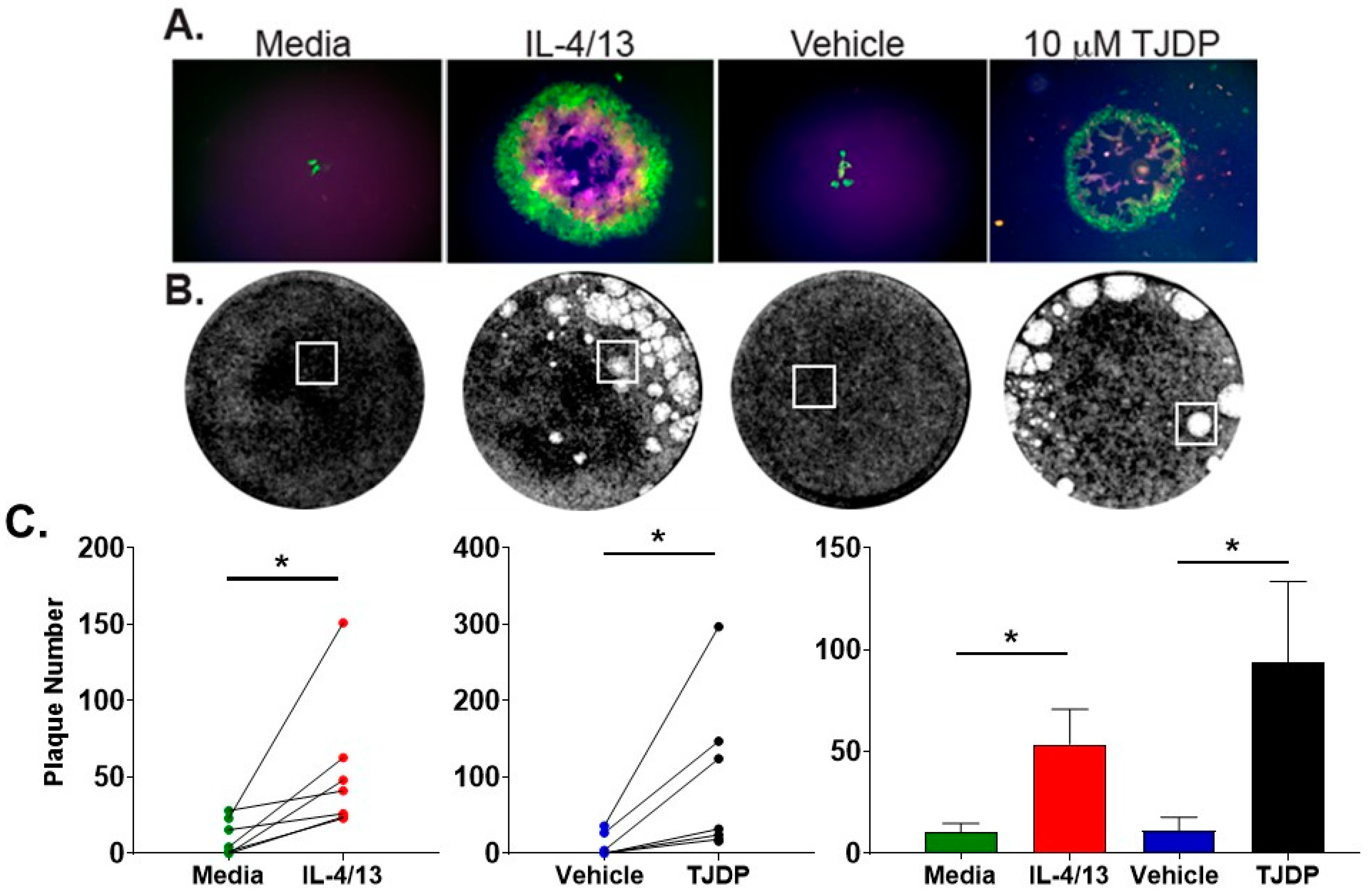 Cells 11 01337 g004 550