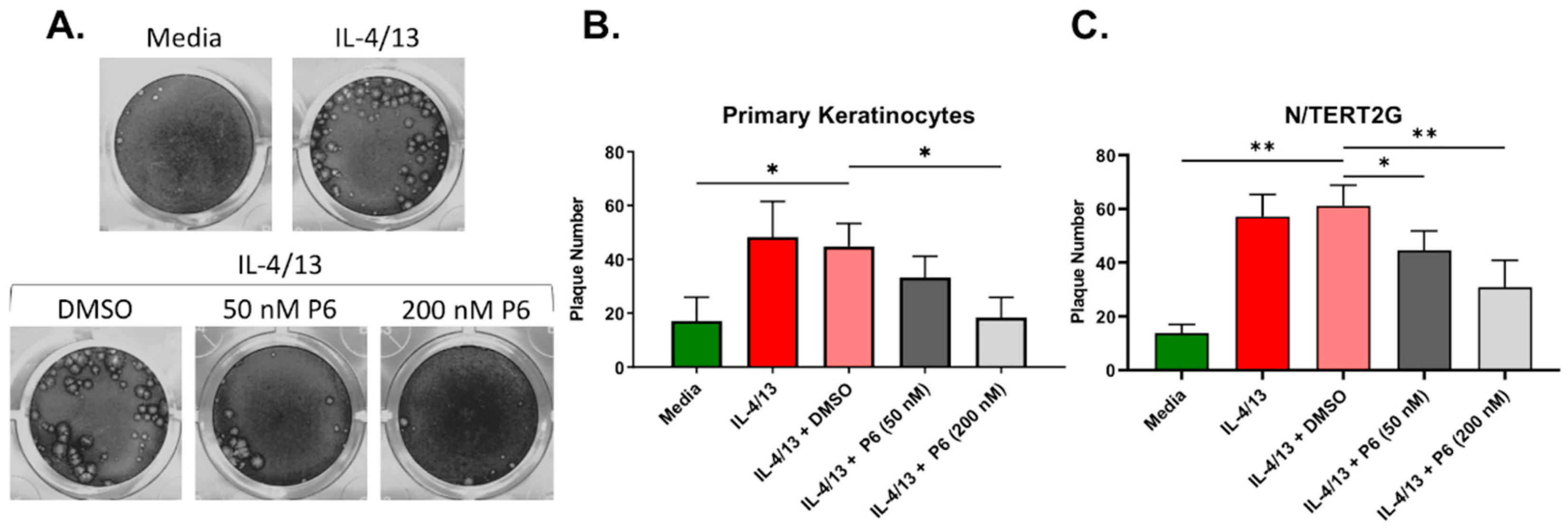 Cells 11 01337 g006 550