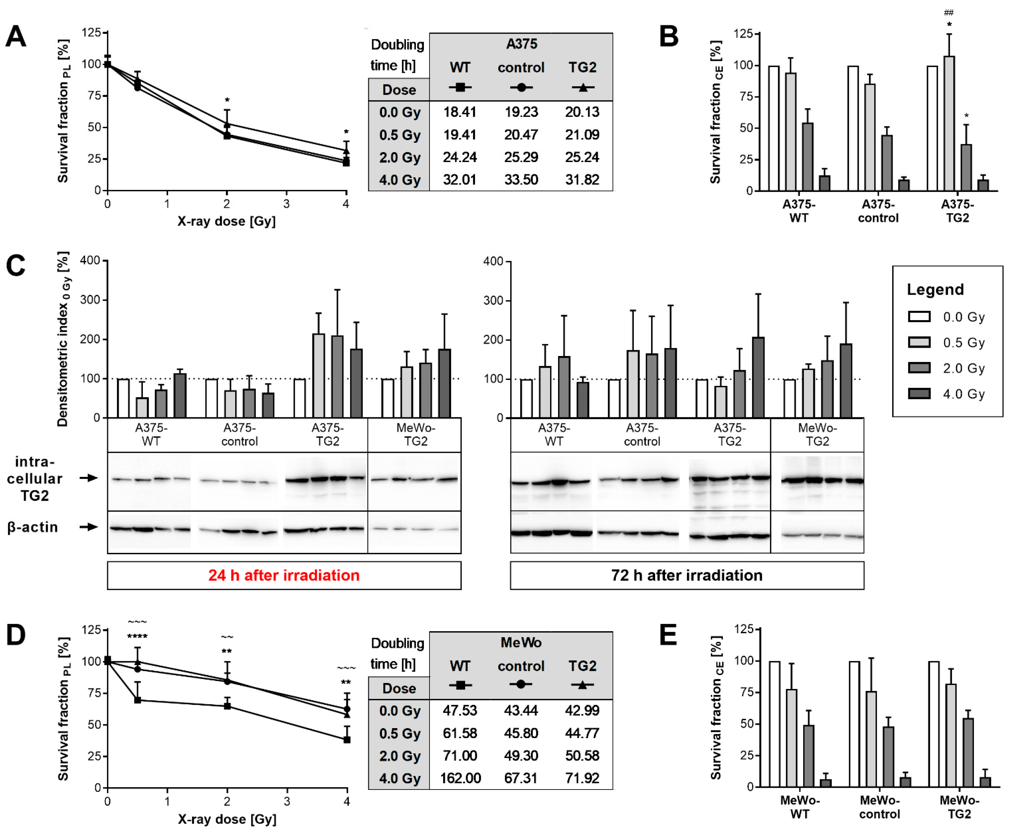 Cells 11 01342 g002 550