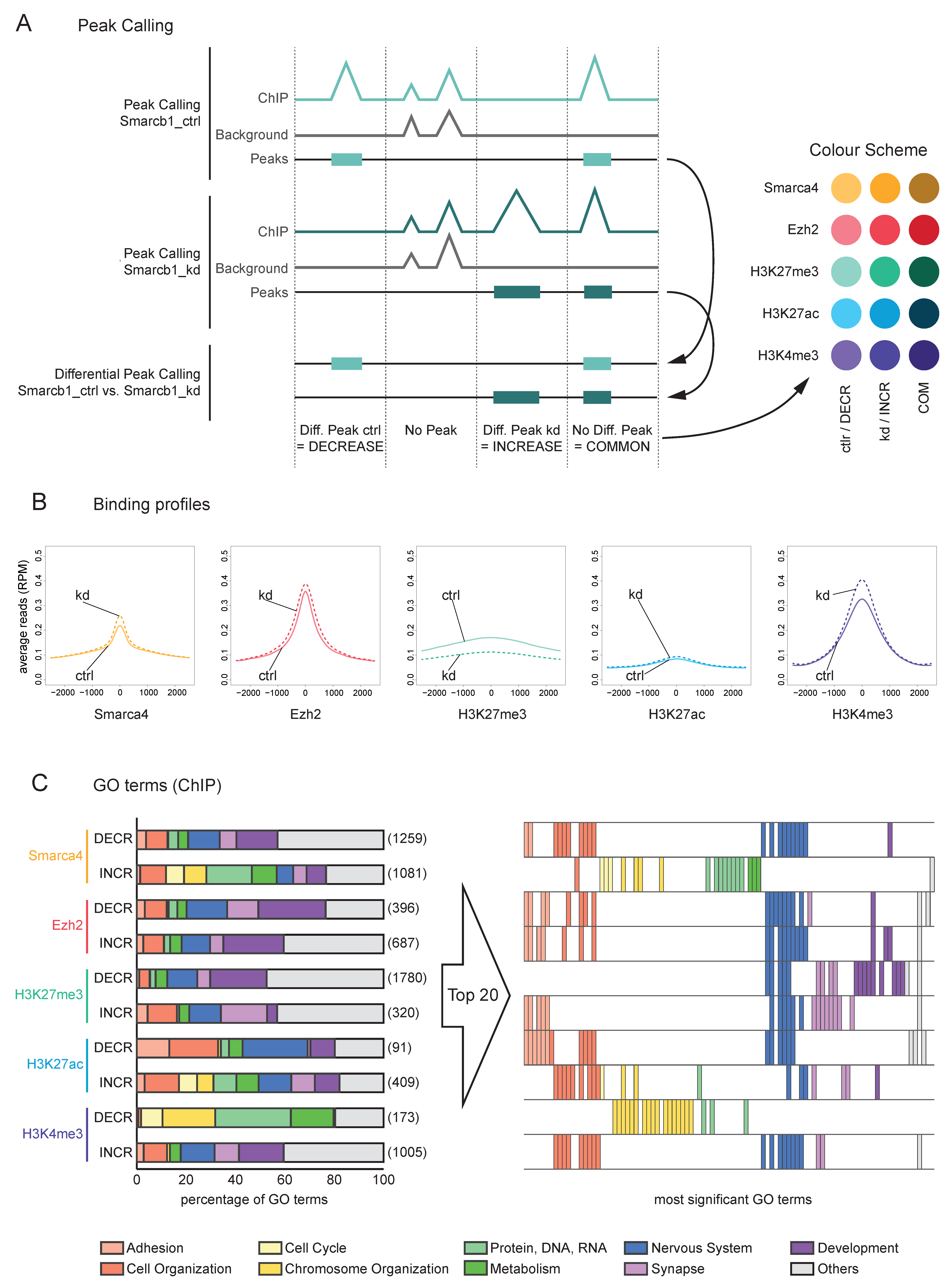 Cells 11 01354 g003 550