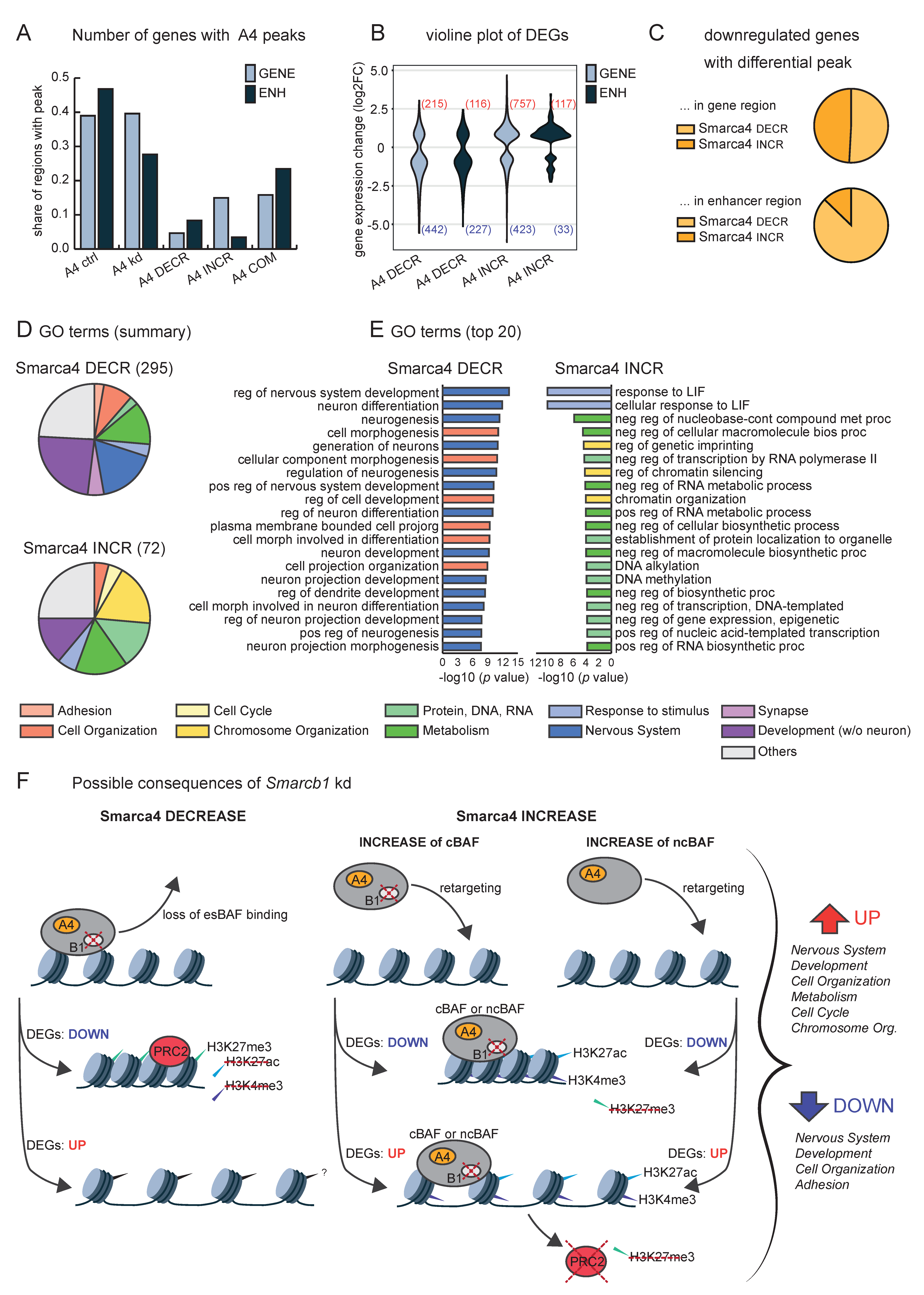 Cells 11 01354 g005 550