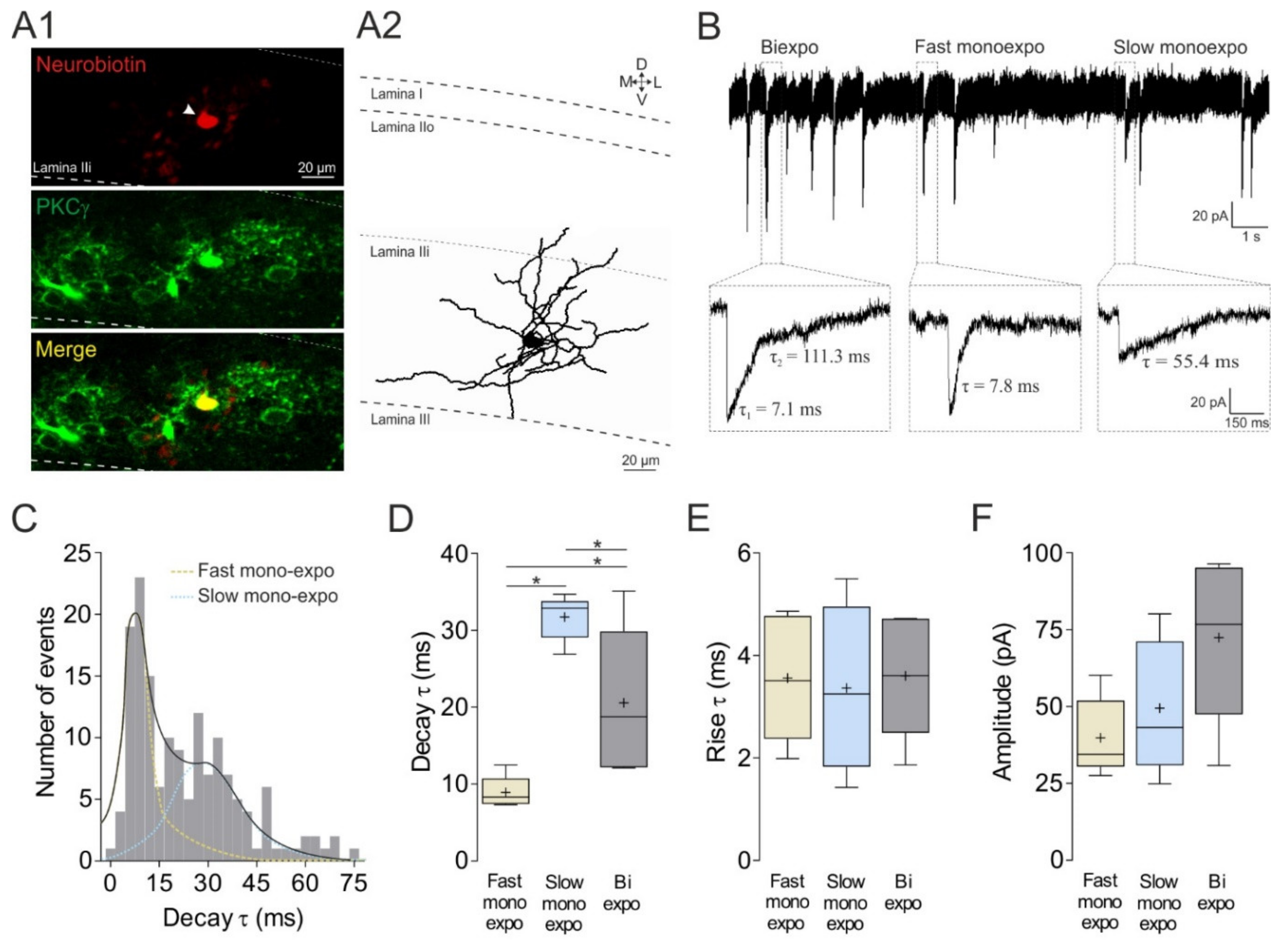 Cells 11 01356 g001 Cells 11 01356 g001