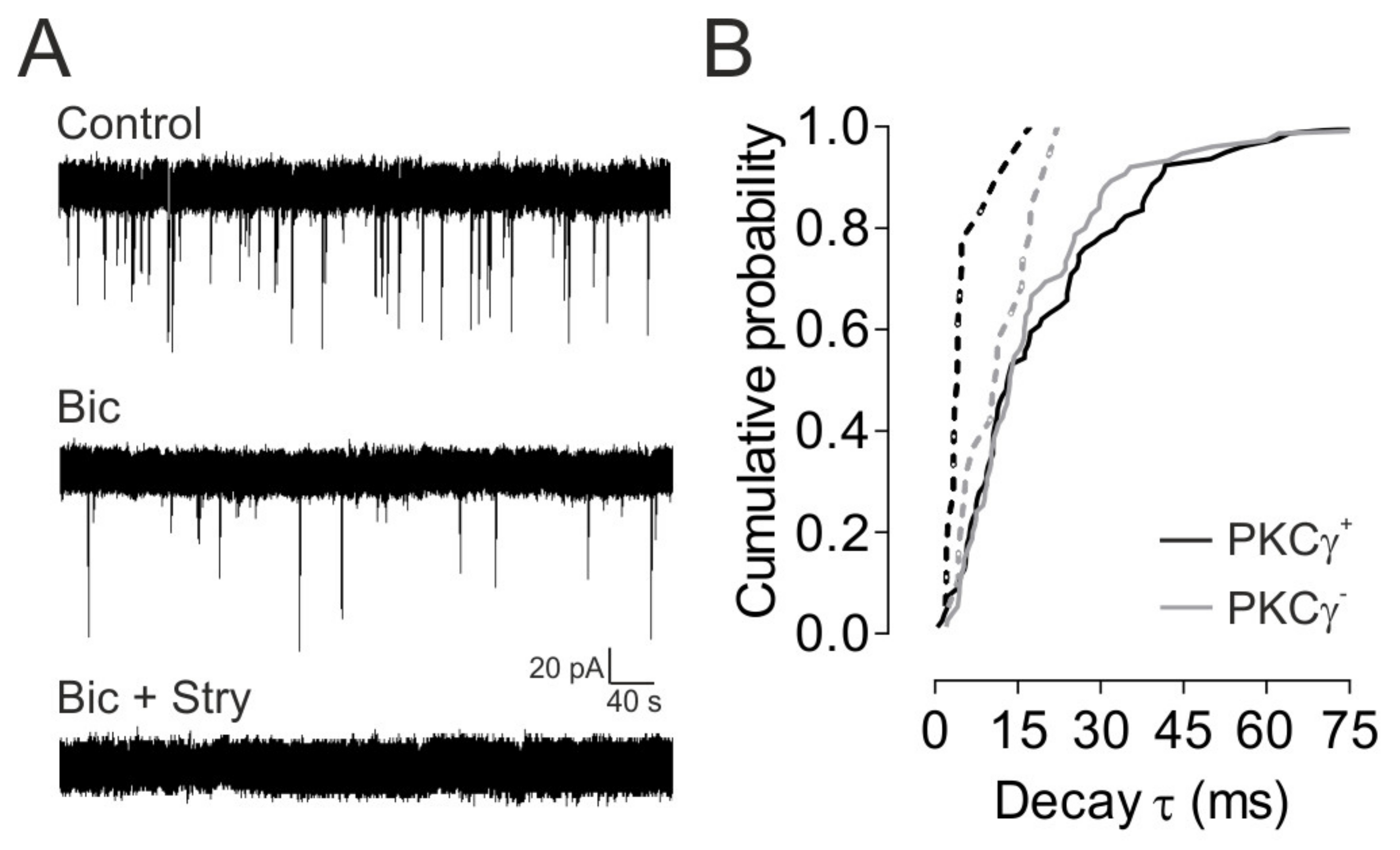 Cells 11 01356 g003 Cells 11 01356 g003